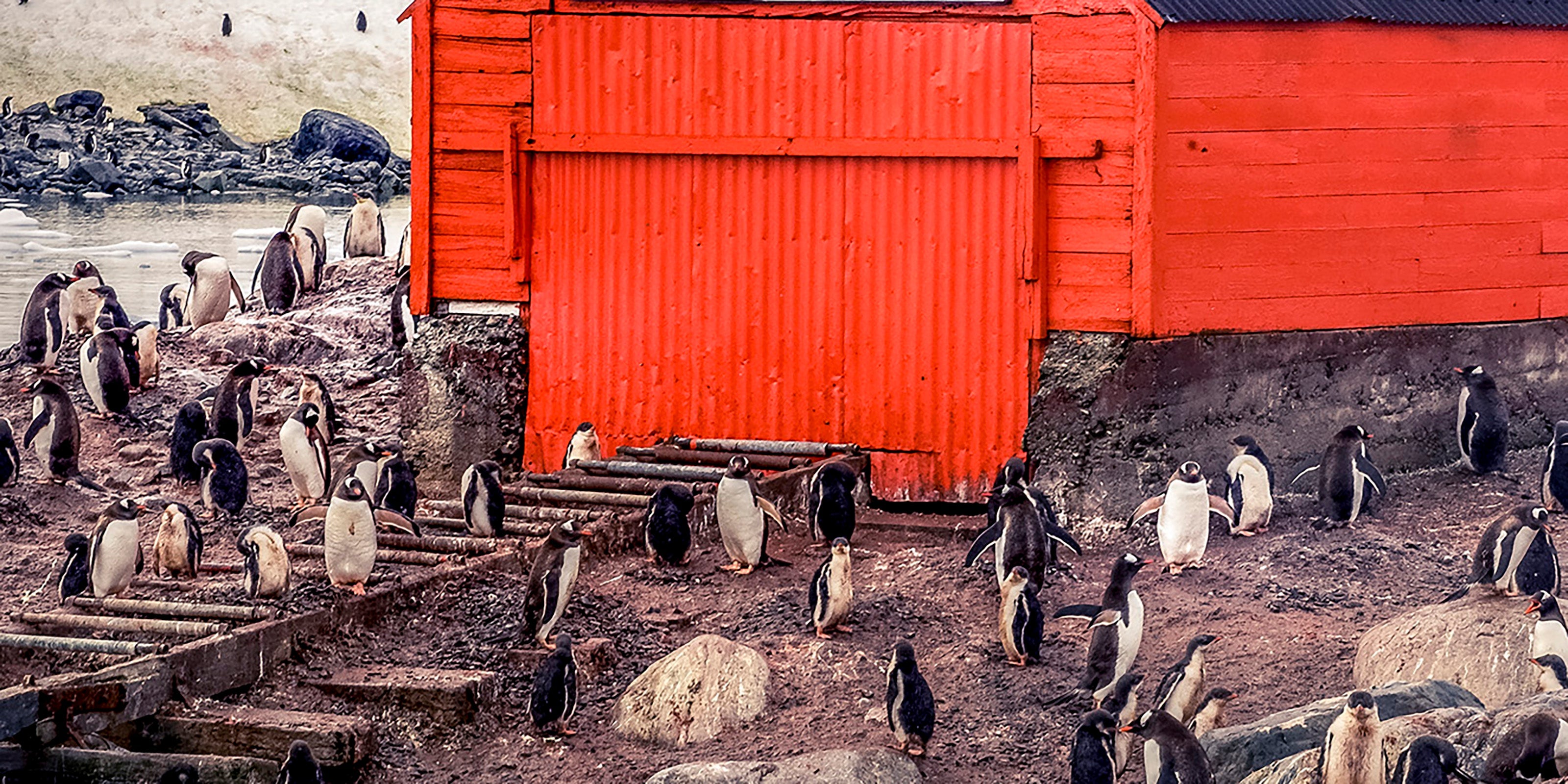Antartica