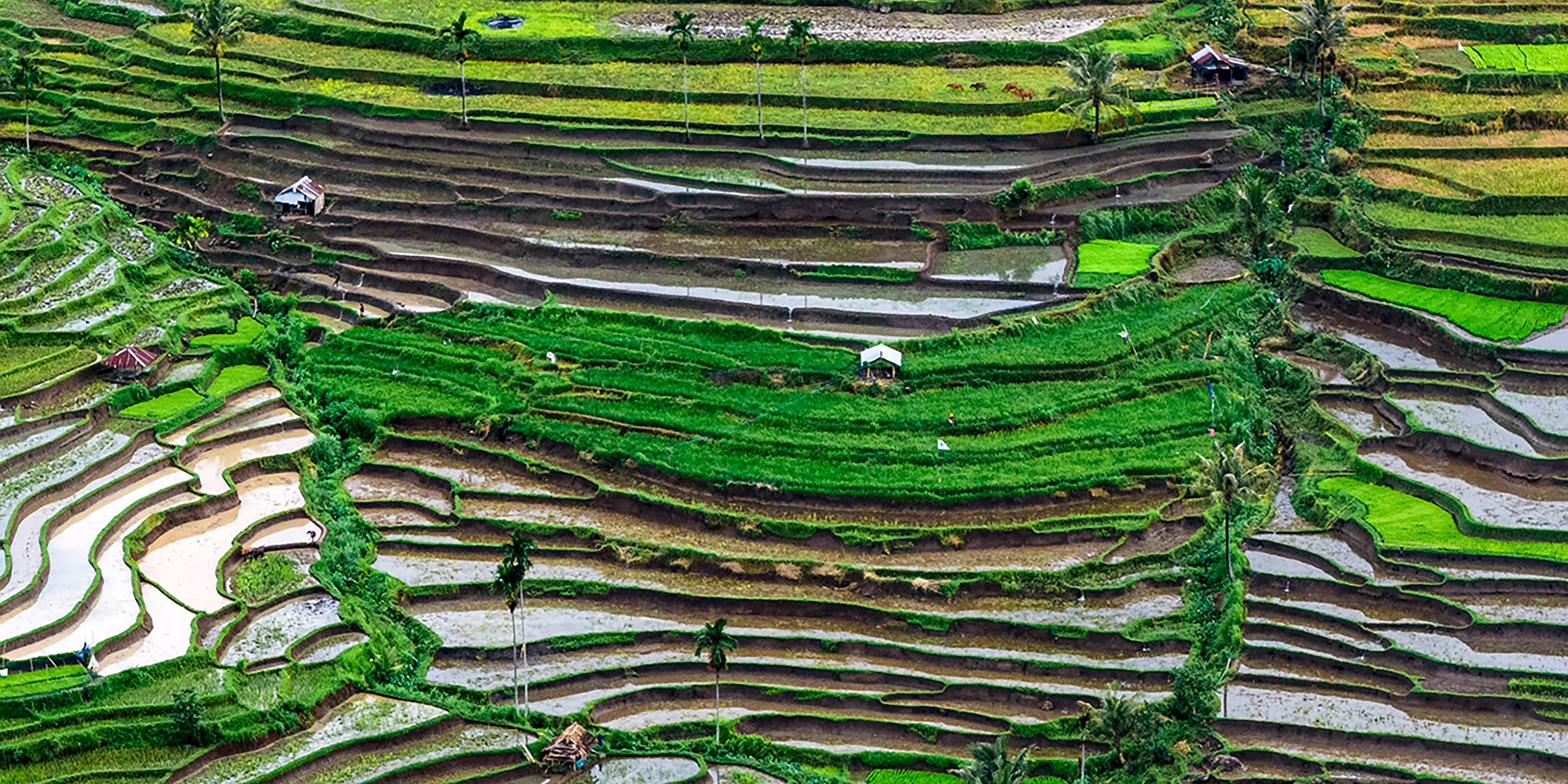 Indonesia