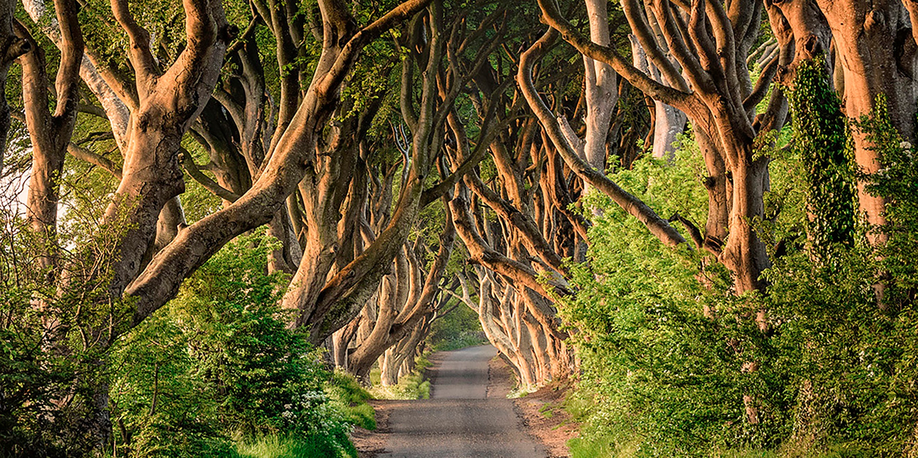 Ireland