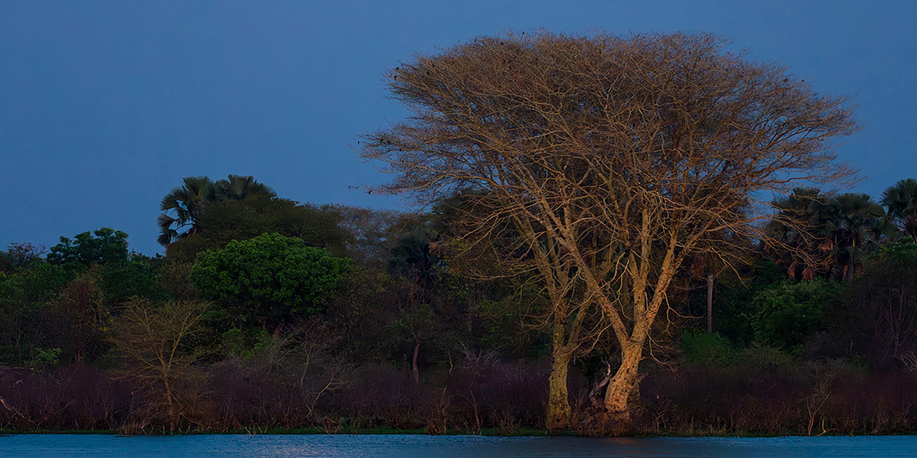 Malawi