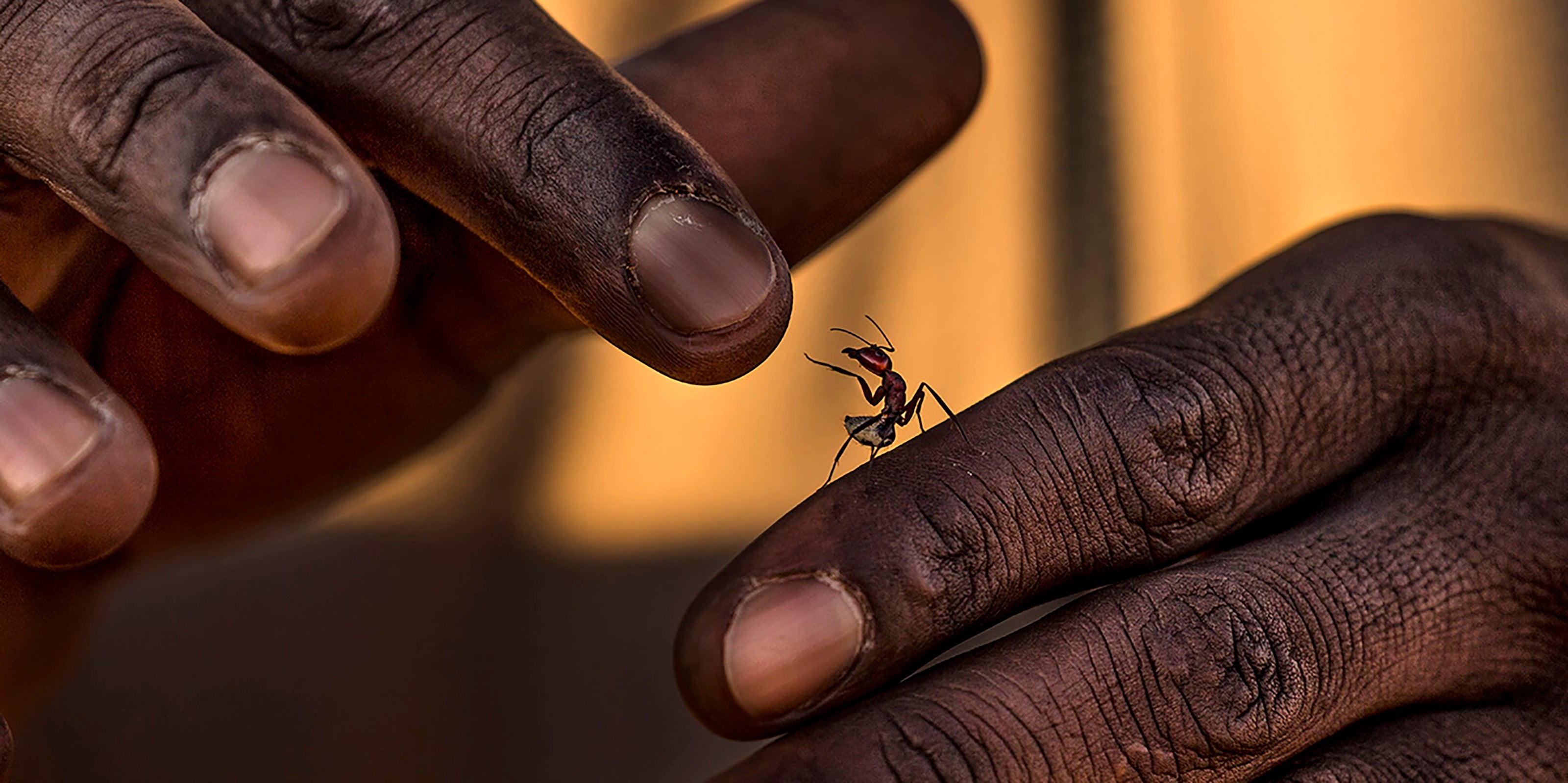 Namibia