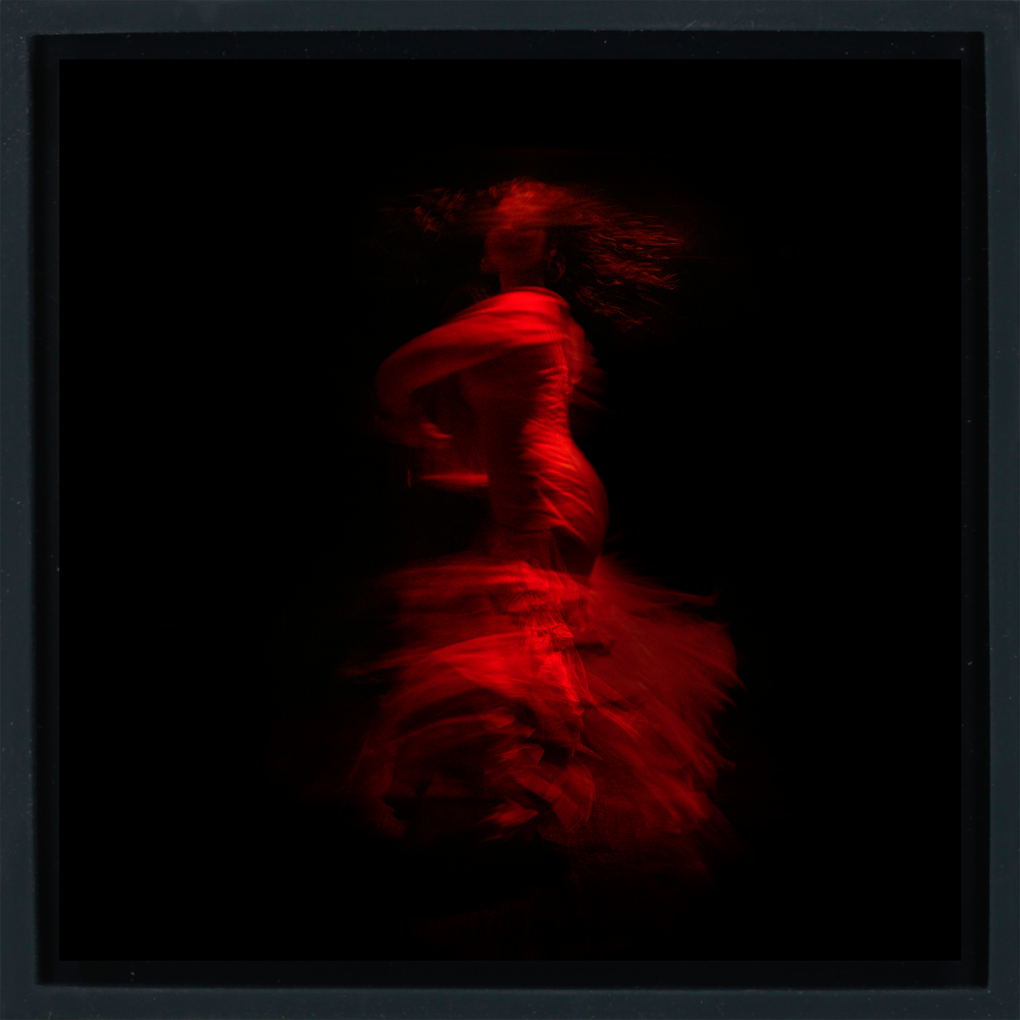 Flamenco – Schwarze Folie