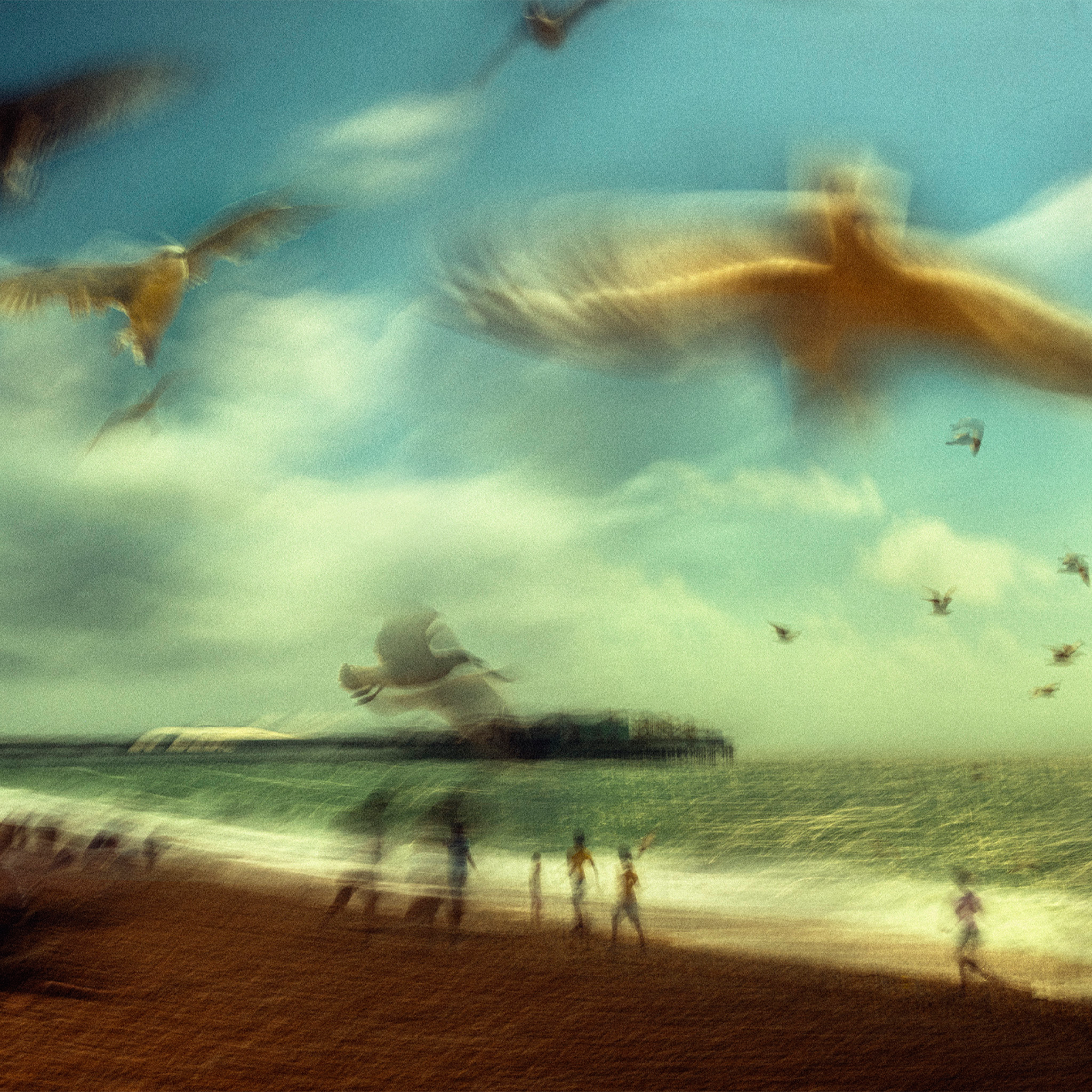 Brighton- Collection: England