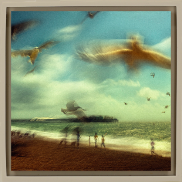 Brighton - Sand Wrapp