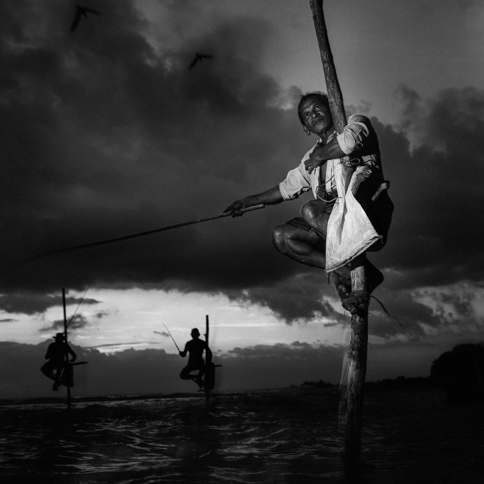 Stilt Fishermen- Collection: Sri Lanka