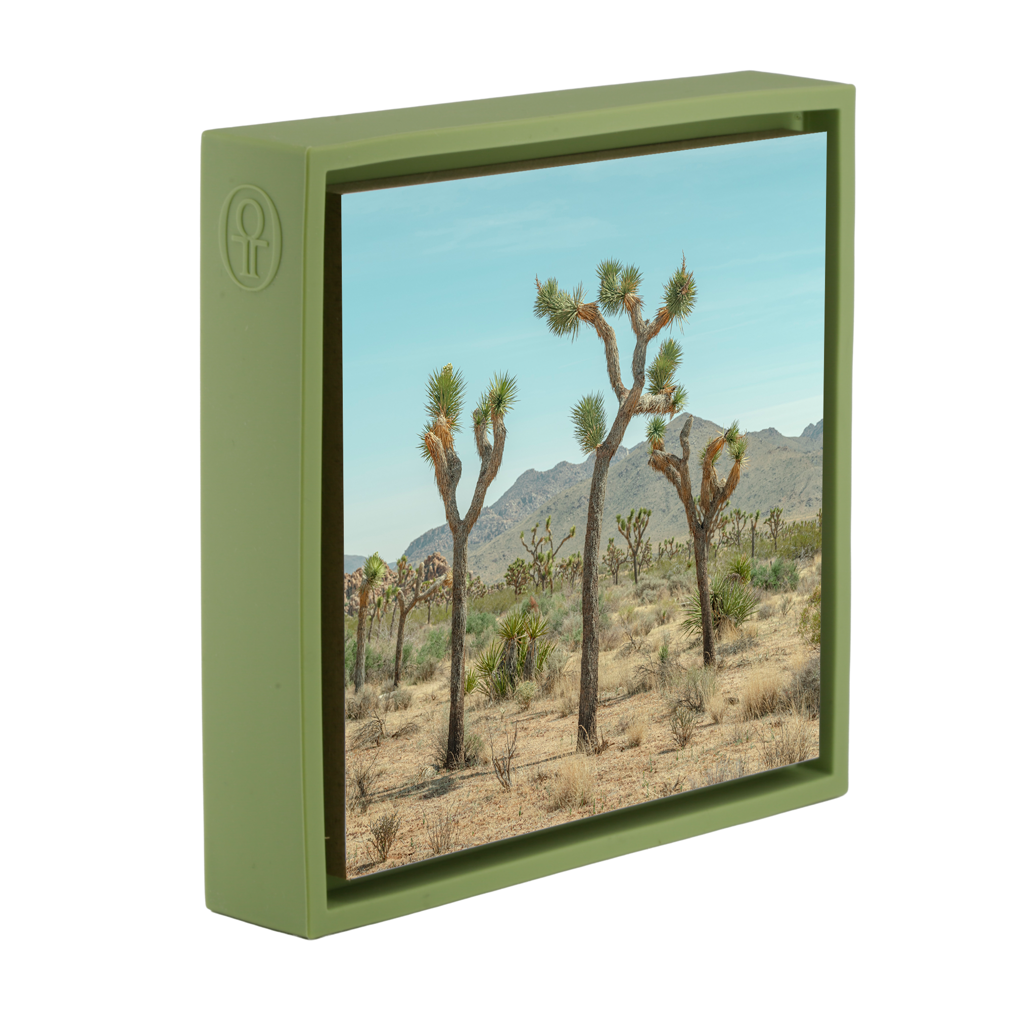 Joshua Tree - Lichtgroene Wrapp