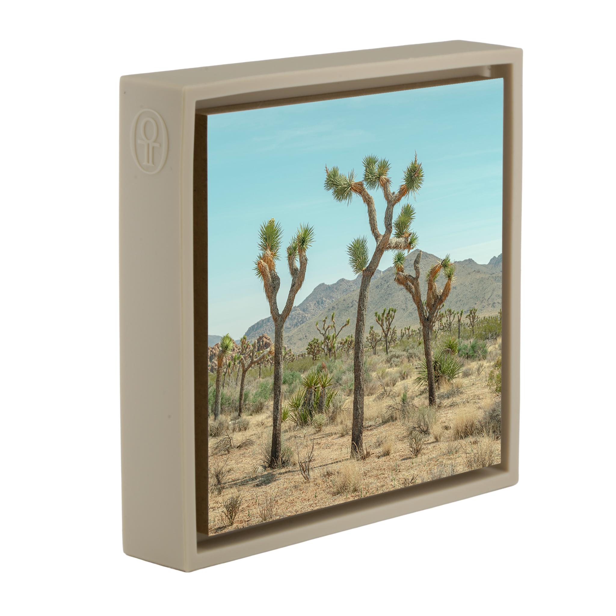 Joshua Tree - Zandkleurige Wrapp