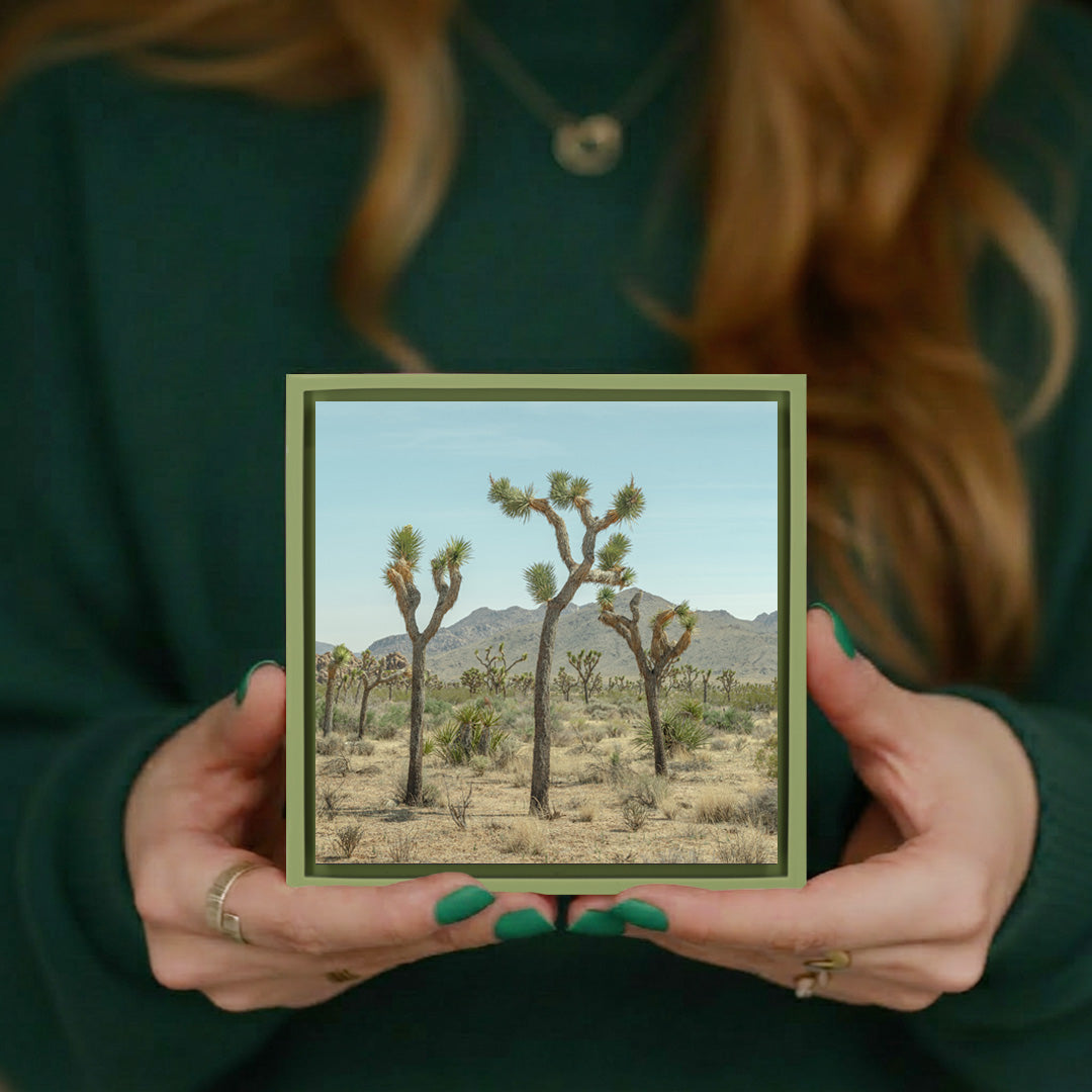 Joshua Tree - Hellgrüne Wrapp