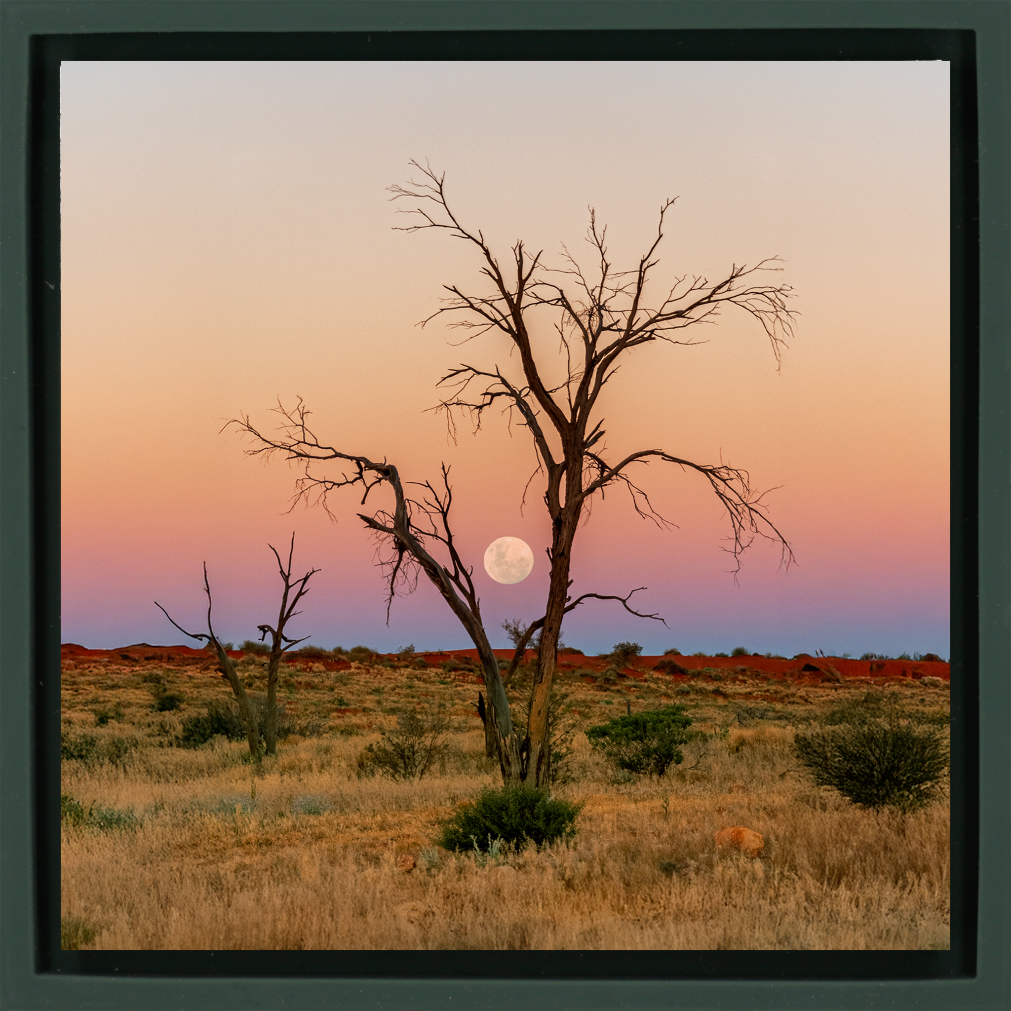 Simpson Desert - Donkergroene Wrapp