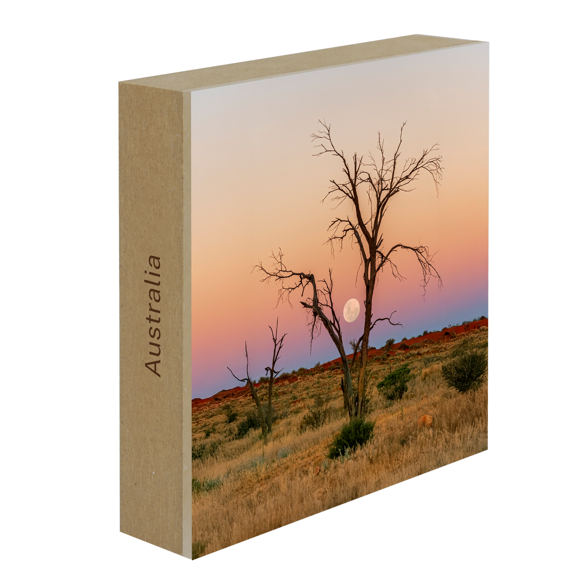 Simpson Desert- Collection: Australia
