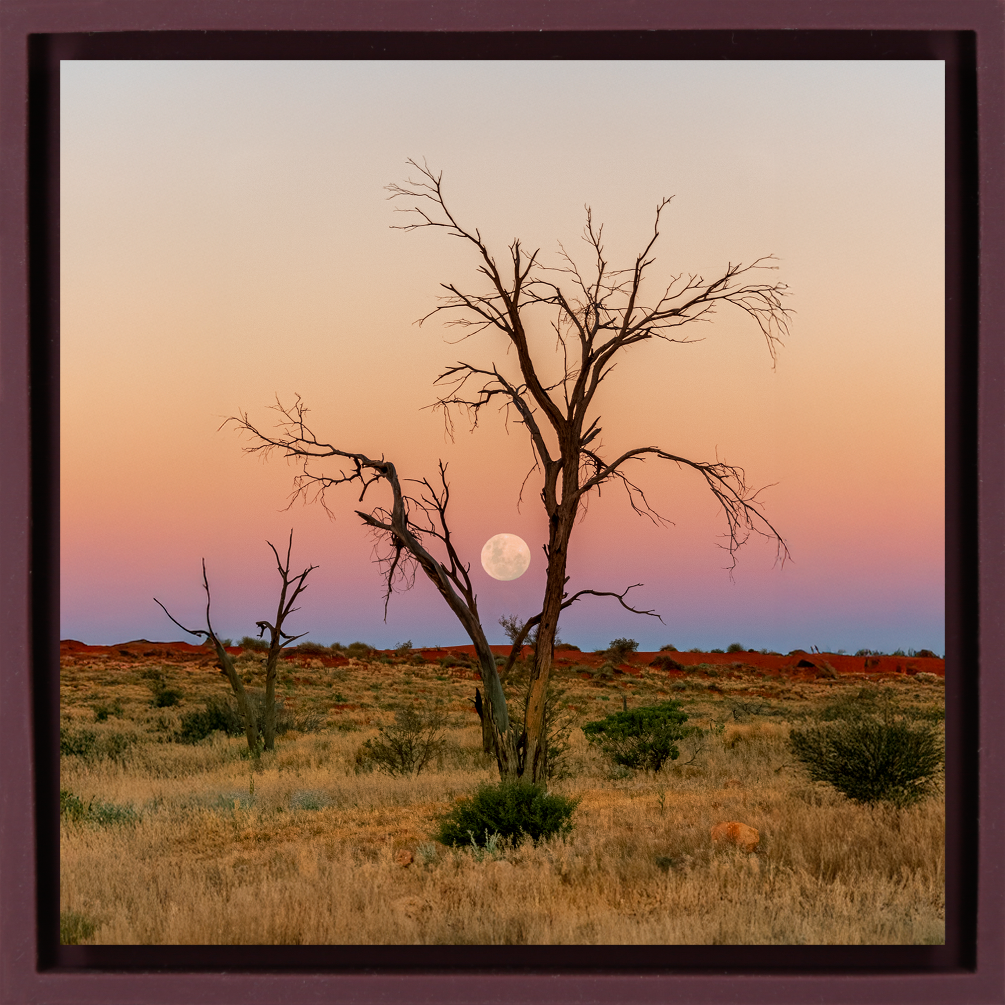Simpson Desert- Purple Wrapp