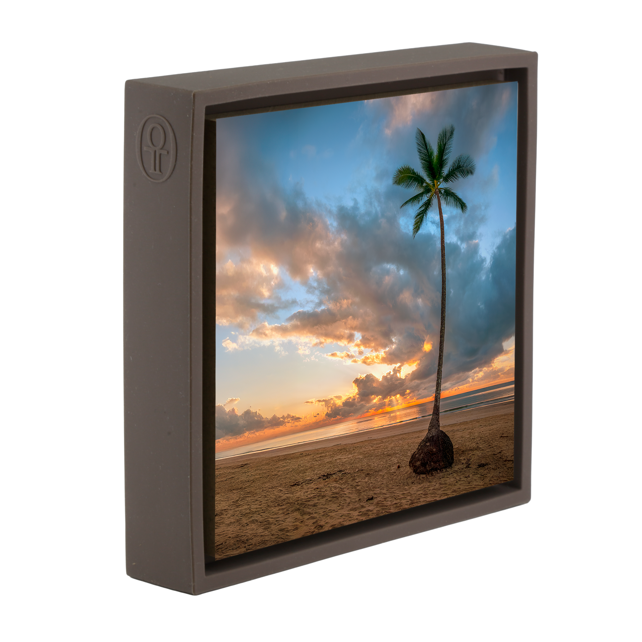 Mission Beach- Brown Wrapp