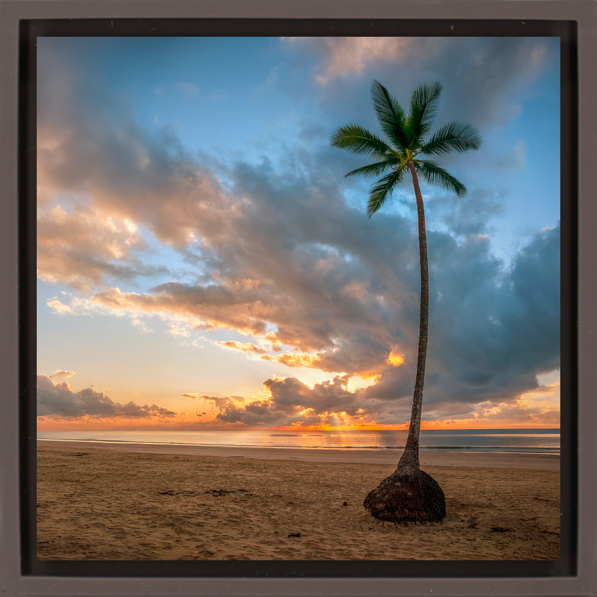 Mission Beach- Brown Wrapp