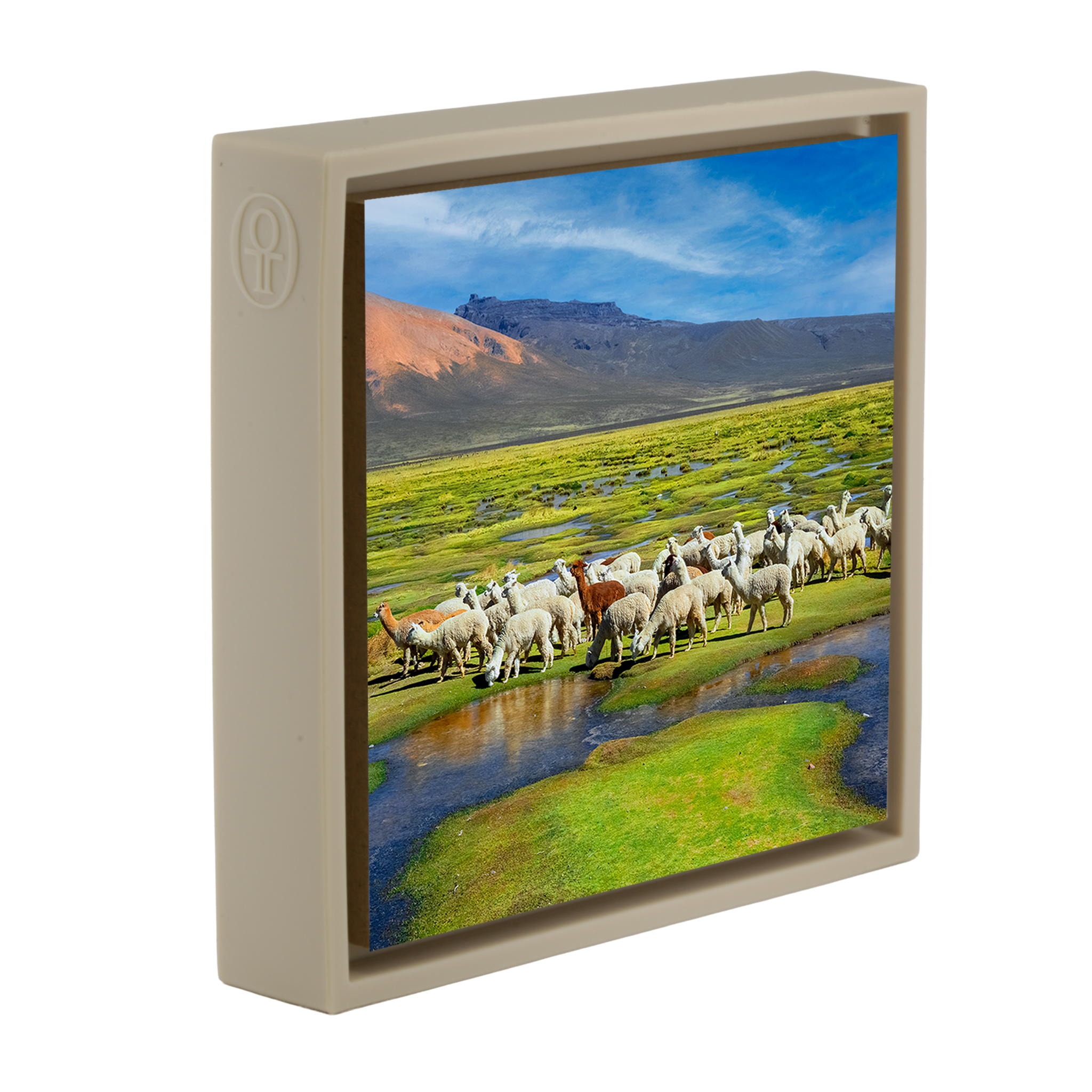 Alpacas - Zandkleurige Wrapp