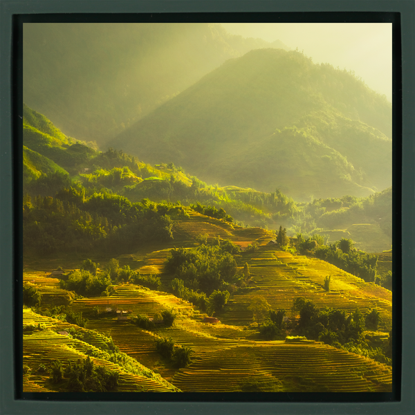 Sapa - Dark Green Wrapp
