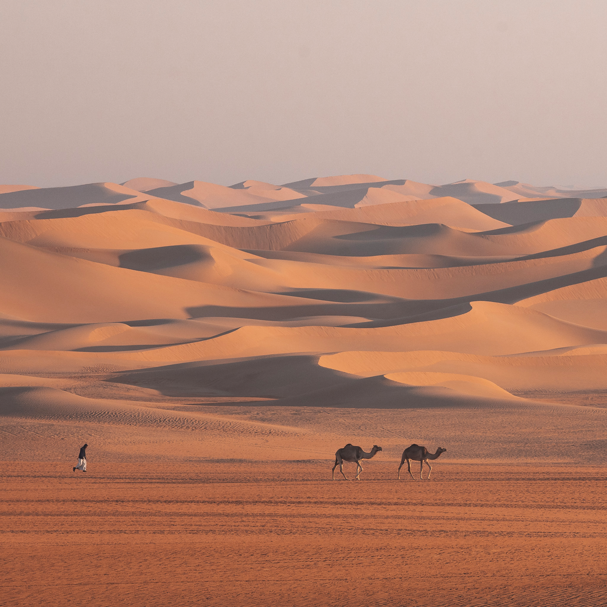 Classic Arabia- Collection: UAE