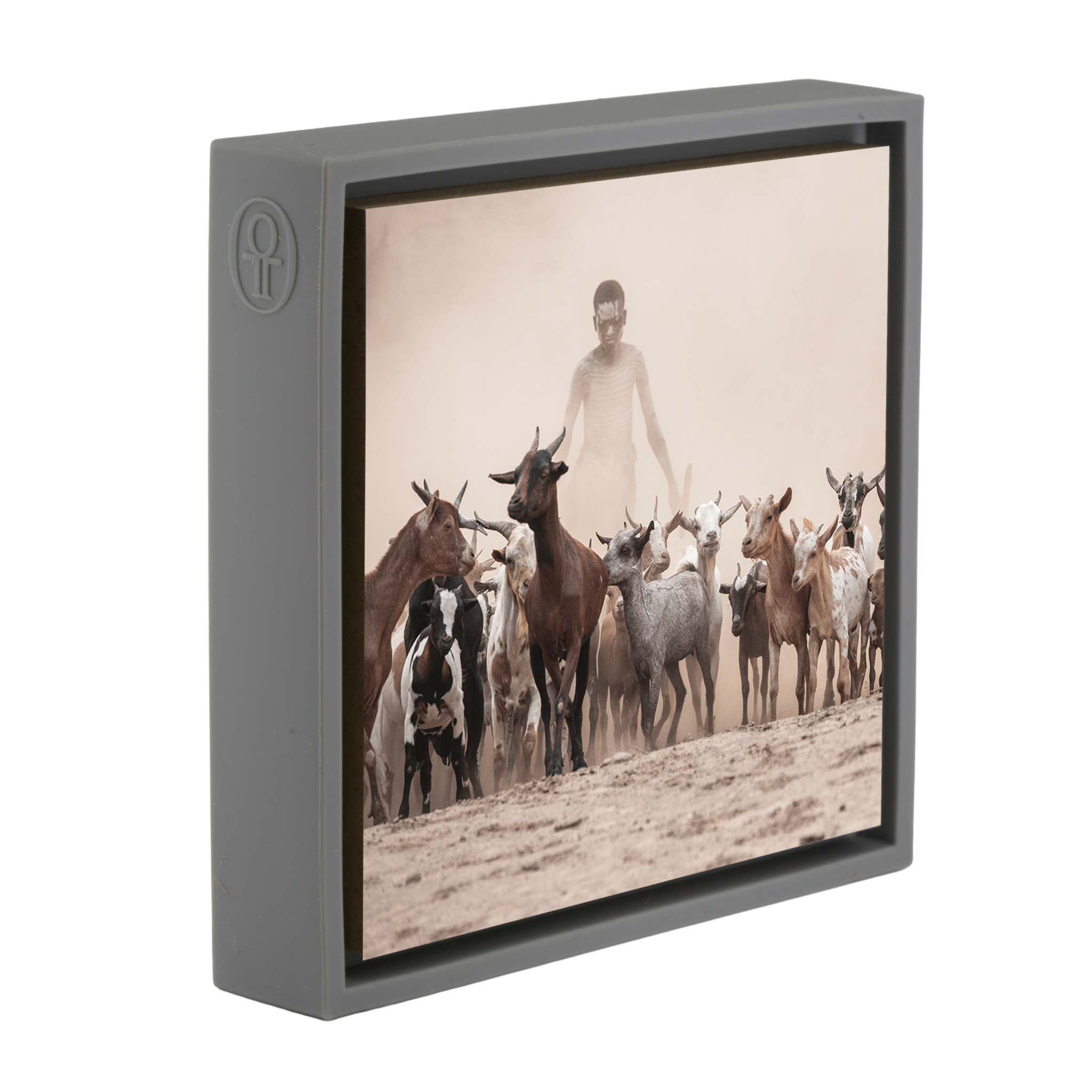 Shepperd in the Dust- Grey Wrapp