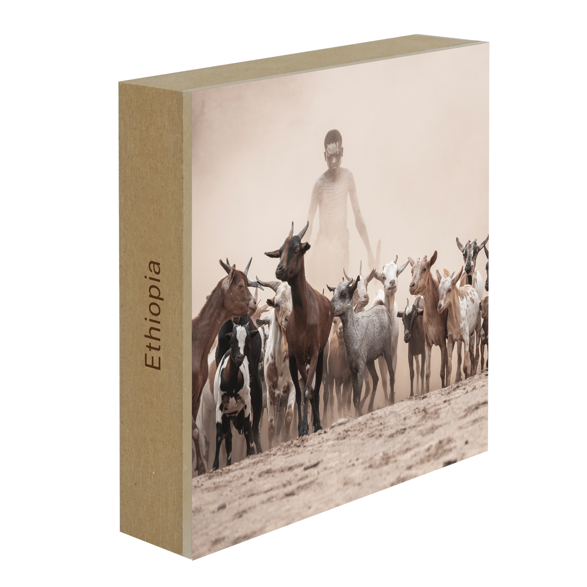 Shepperd in the Dust- Collection: Ethiopia