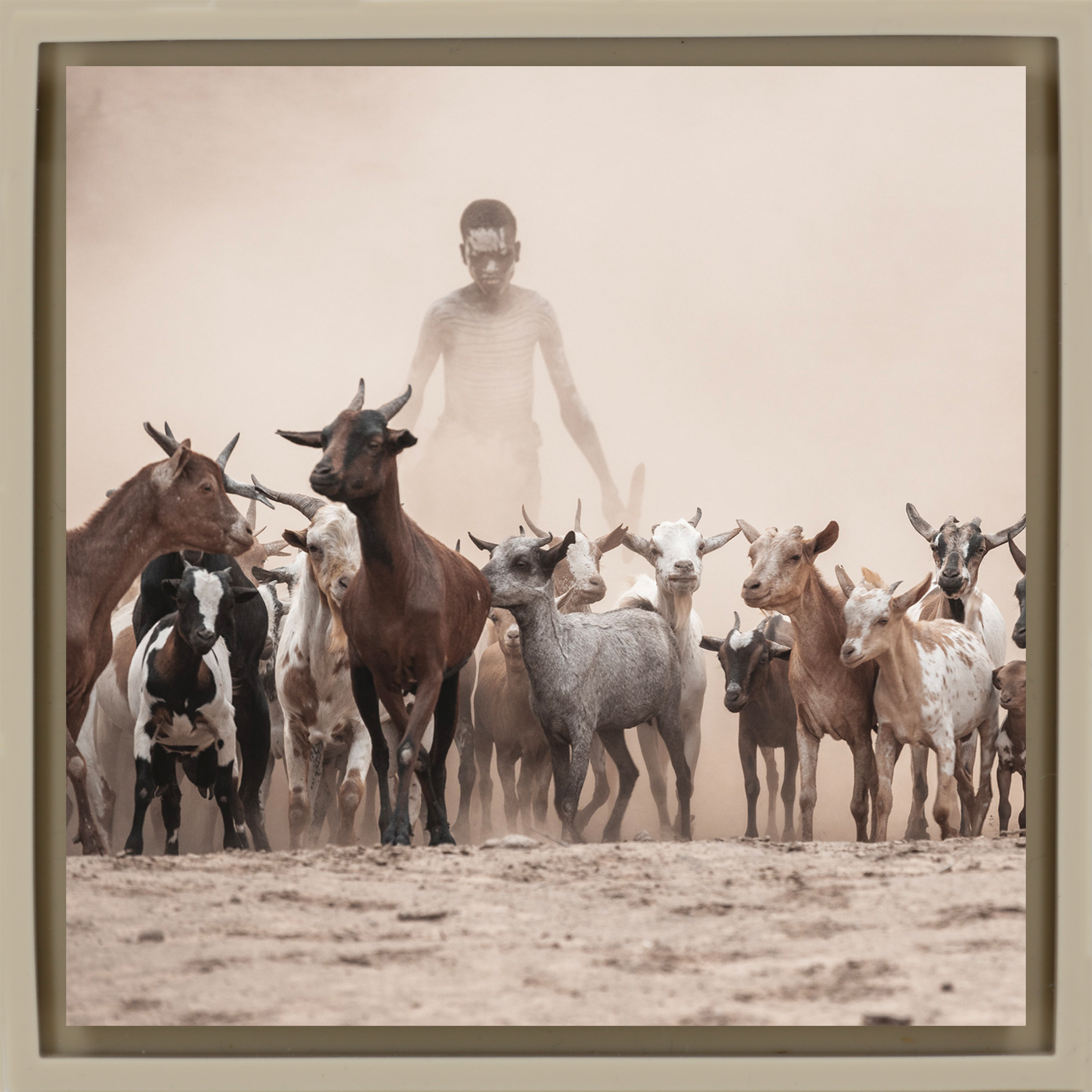 Shepperd in the Dust- Sand Wrapp