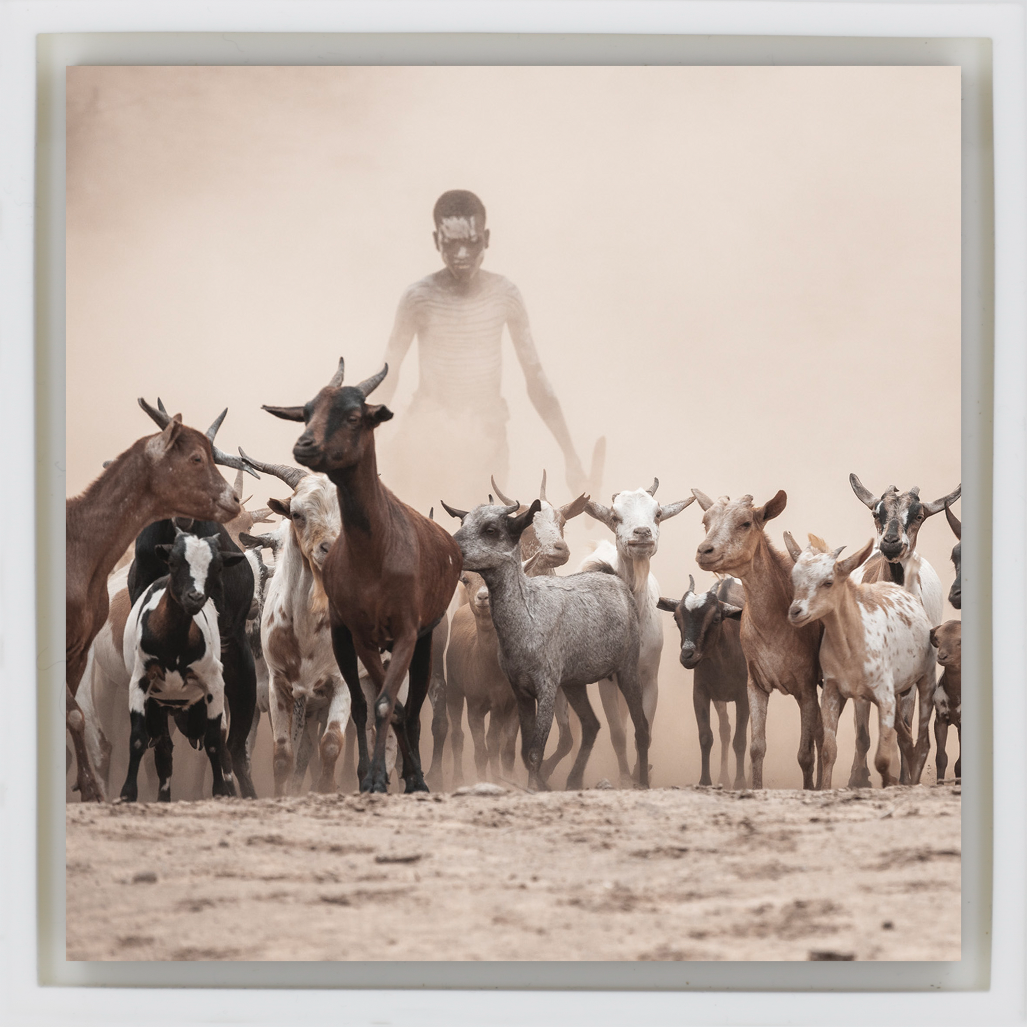 Berger dans la poussière - Enveloppe blanche