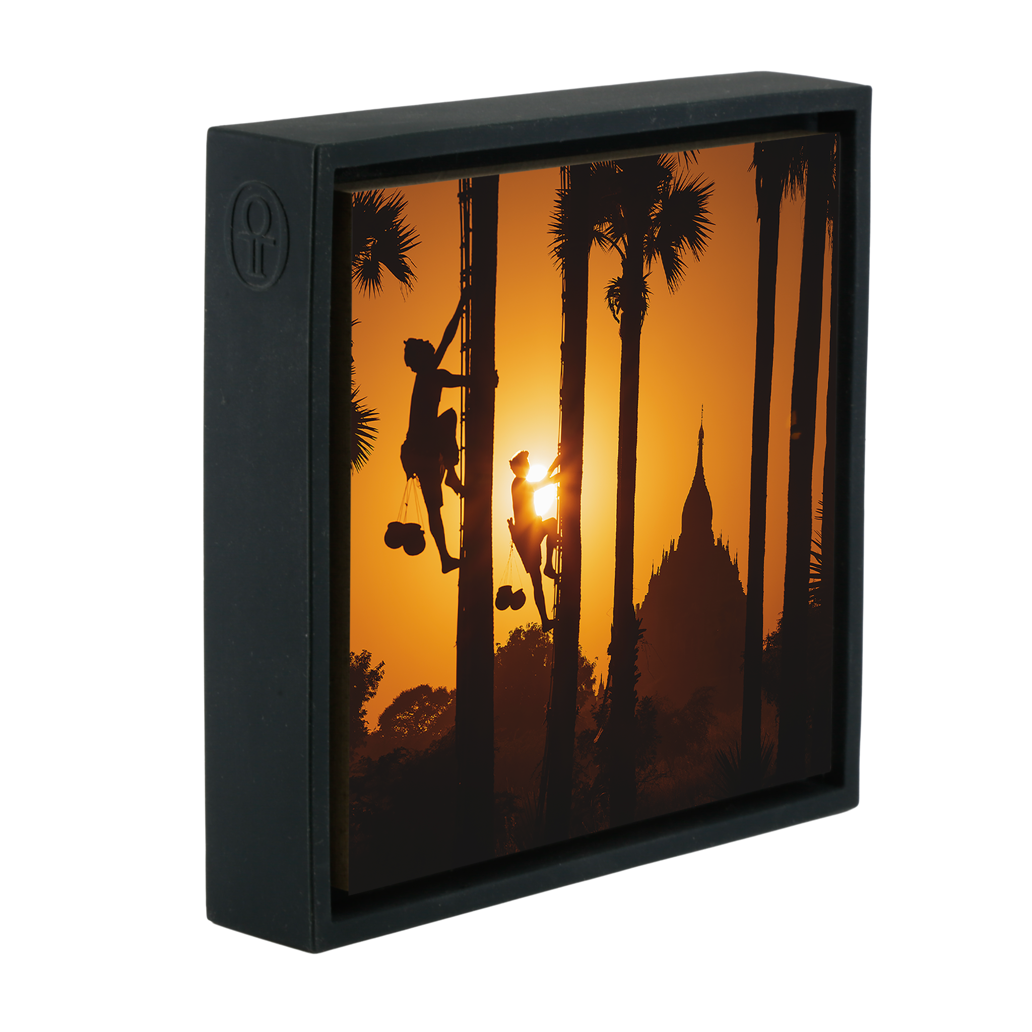 Palm Trappers Bagam- Black Wrapp