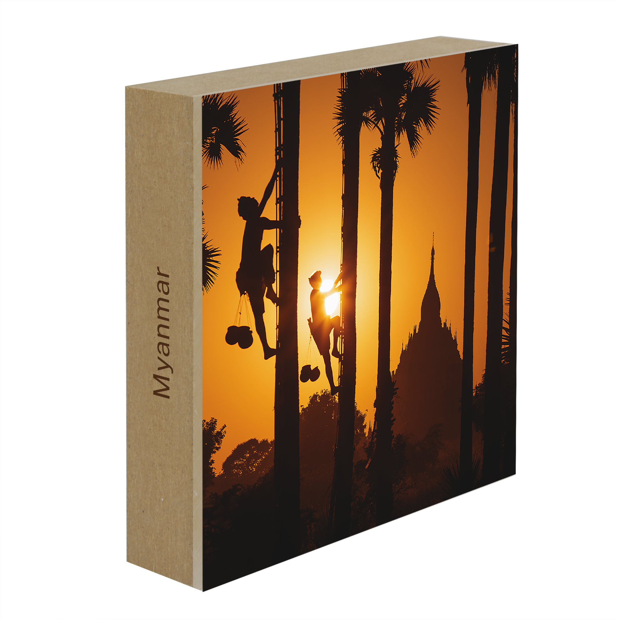 Palm Trappers Bagam- Collection: Myanmar