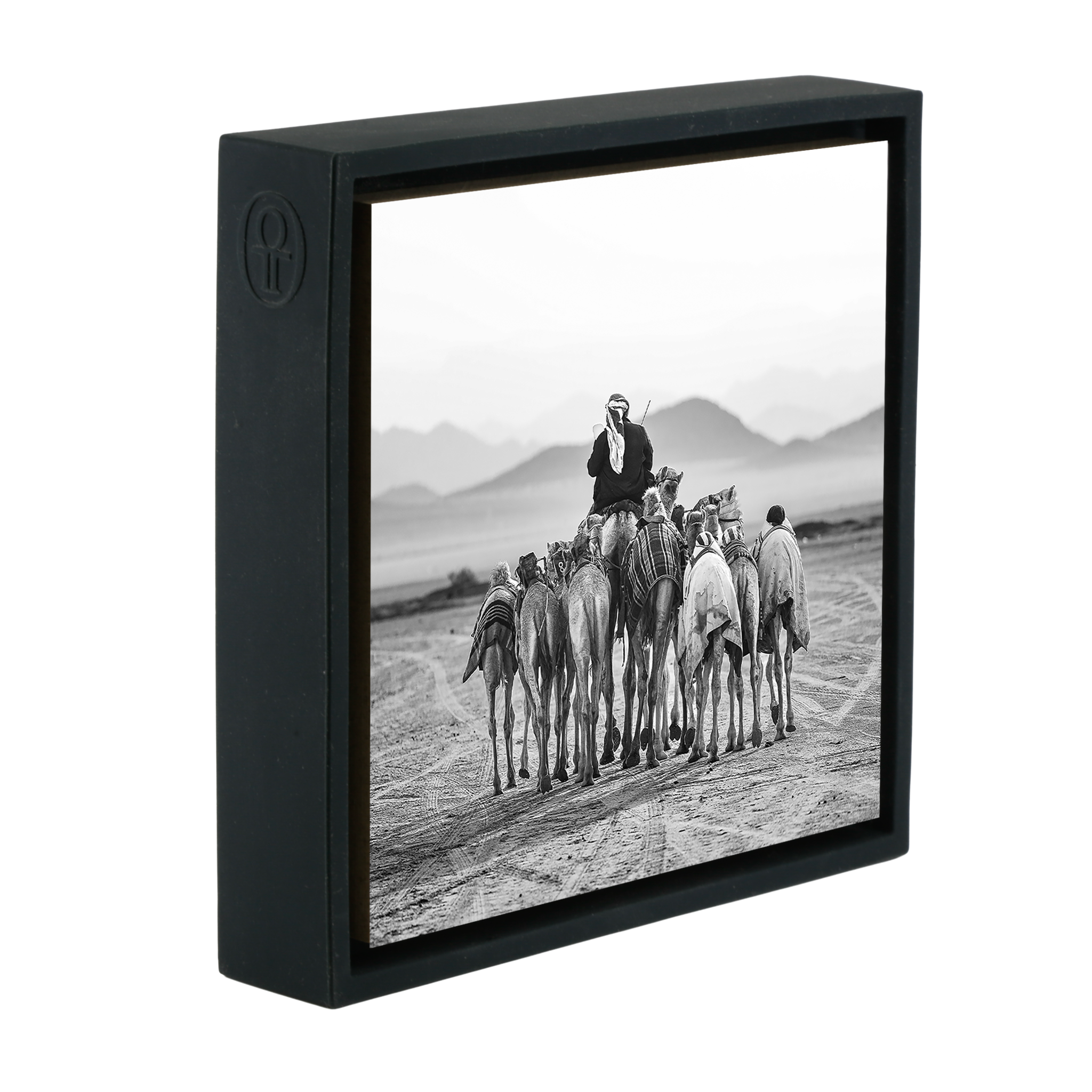 The Camel Driver- Black Wrapp