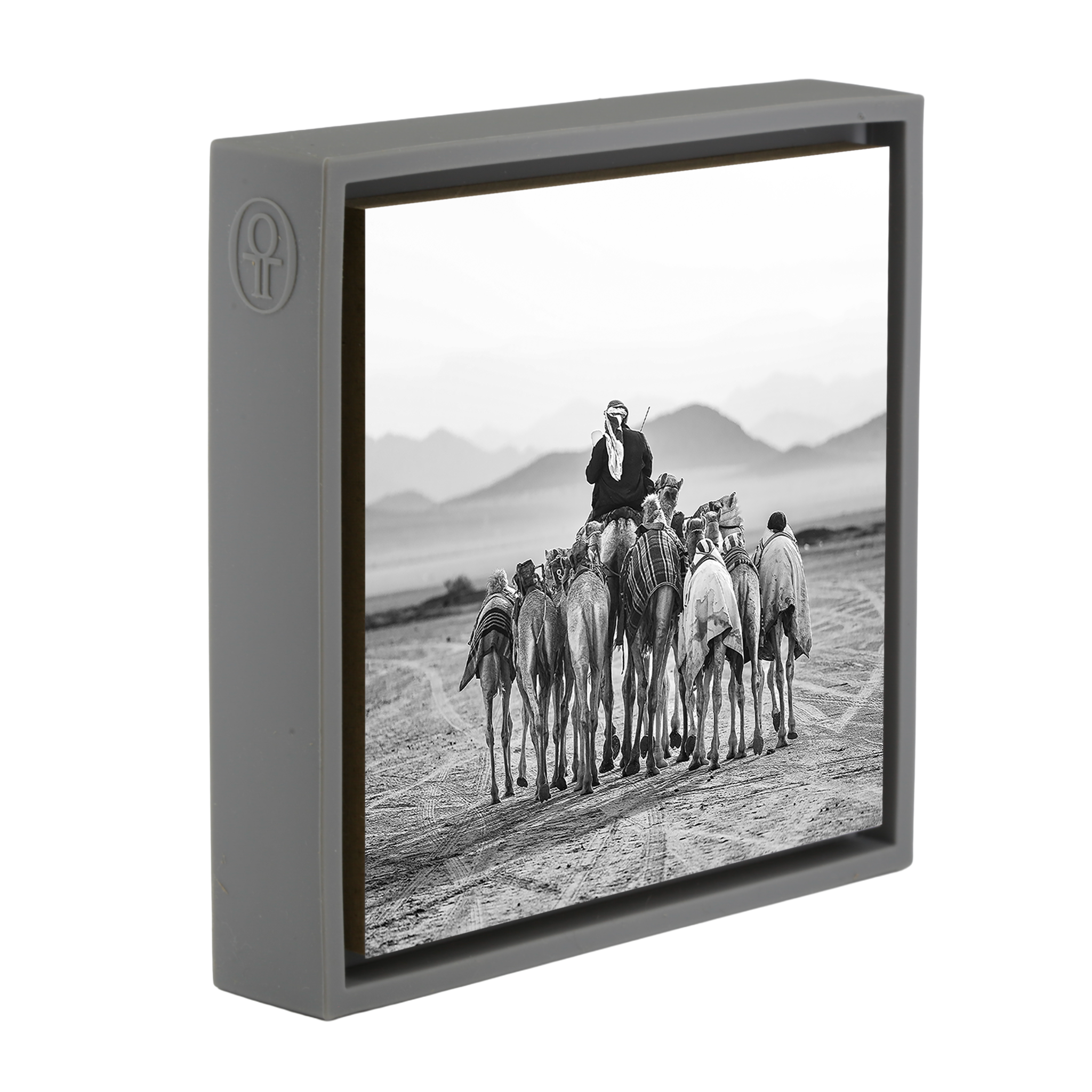The Camel Driver- Grey Wrapp