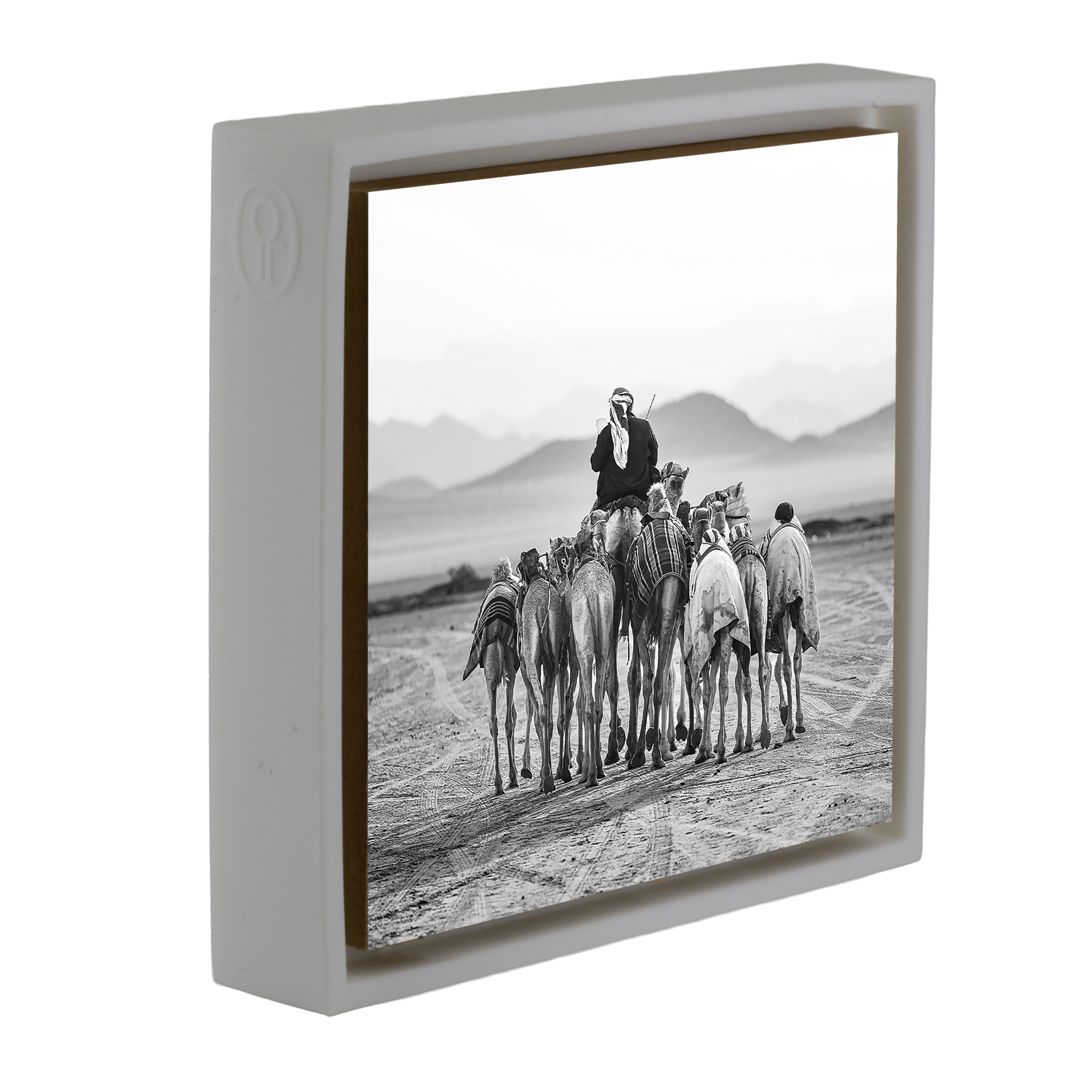 The Camel Driver- White Wrapp