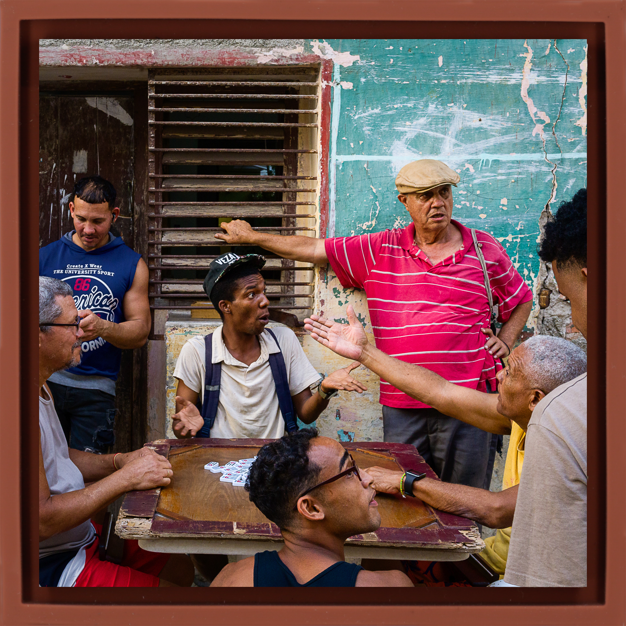 Dominospiel - Terra Wrapp