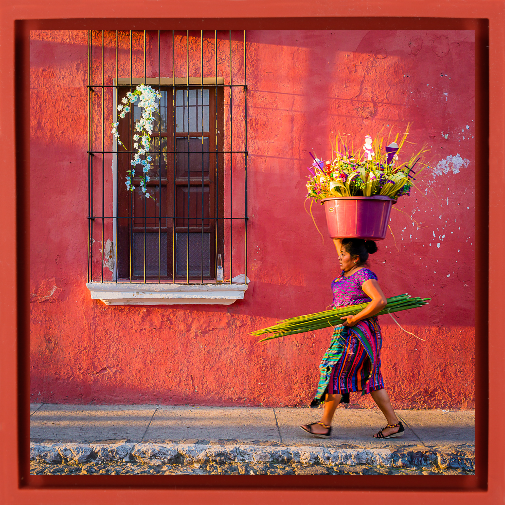 Running to Market - Rode Wrapp