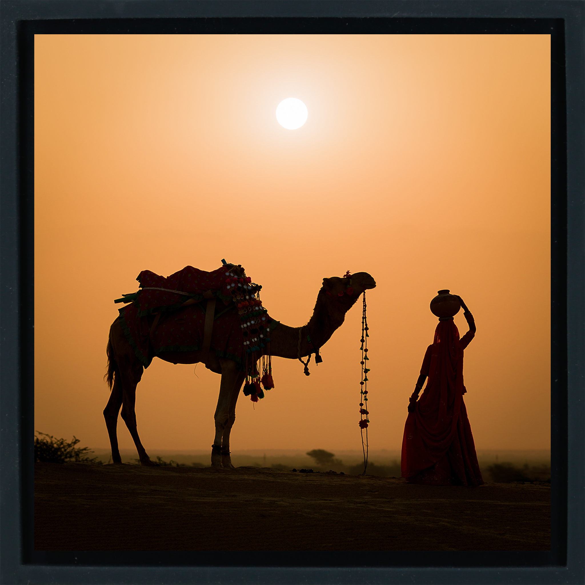 Snake Charmer - Zwarte Wrapp