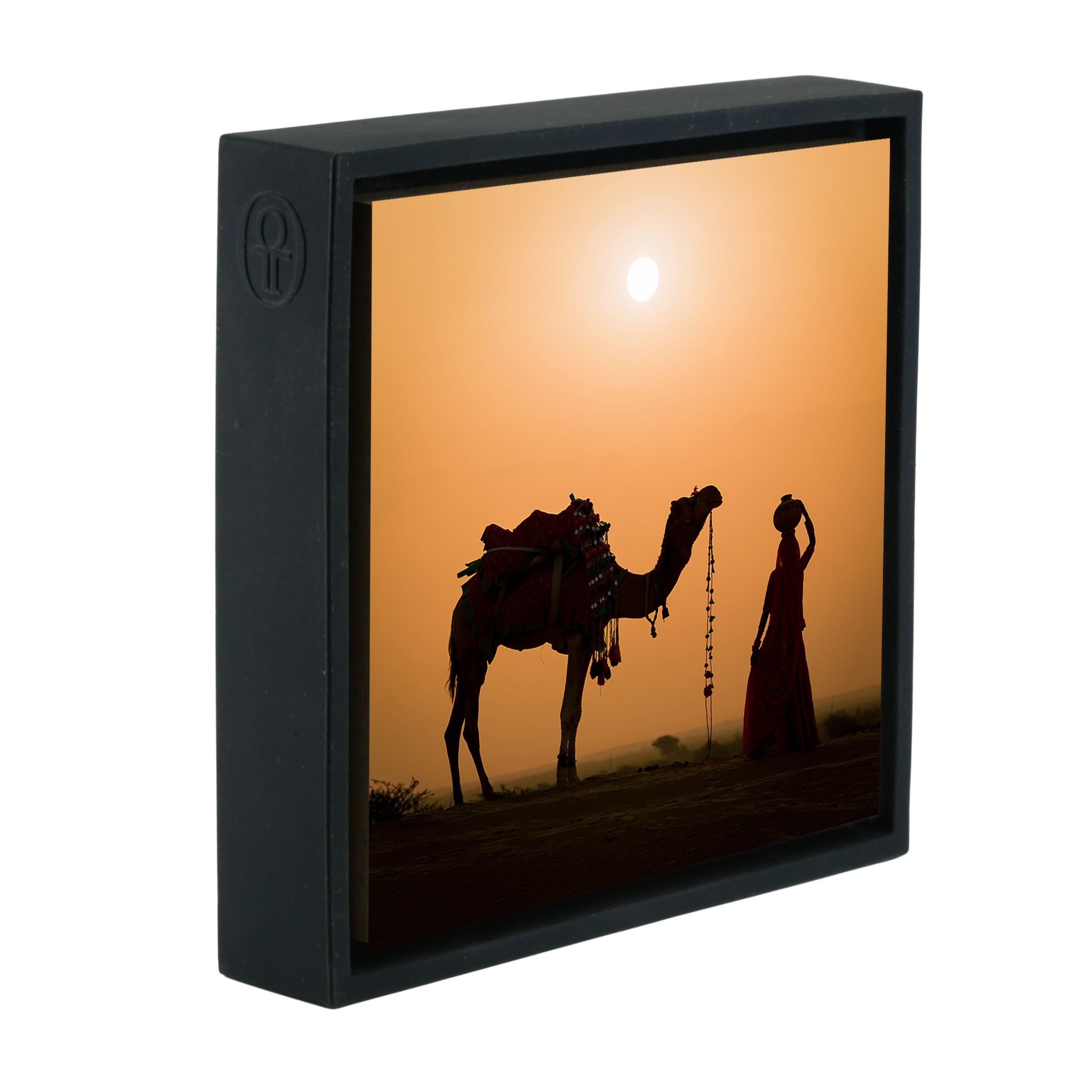 Snake Charmer - Zwarte Wrapp