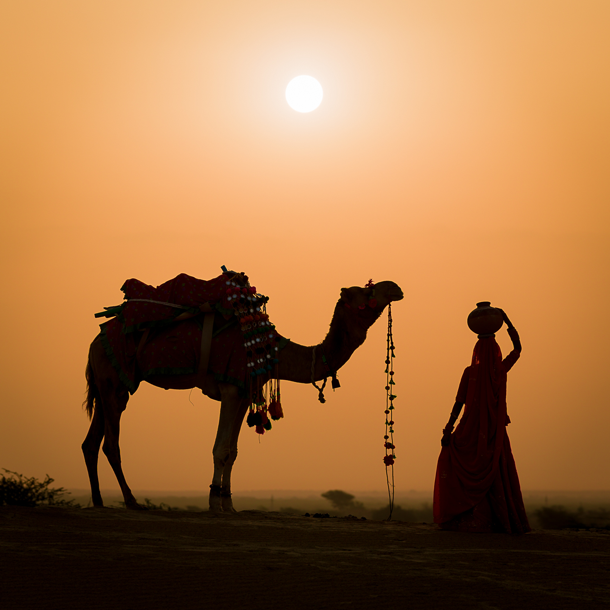 Snake Charmer - Collection: India