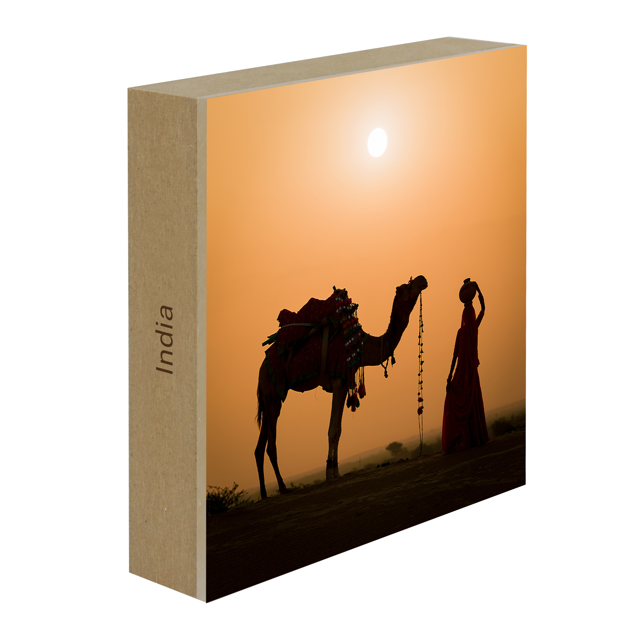 Snake Charmer - Collection: India