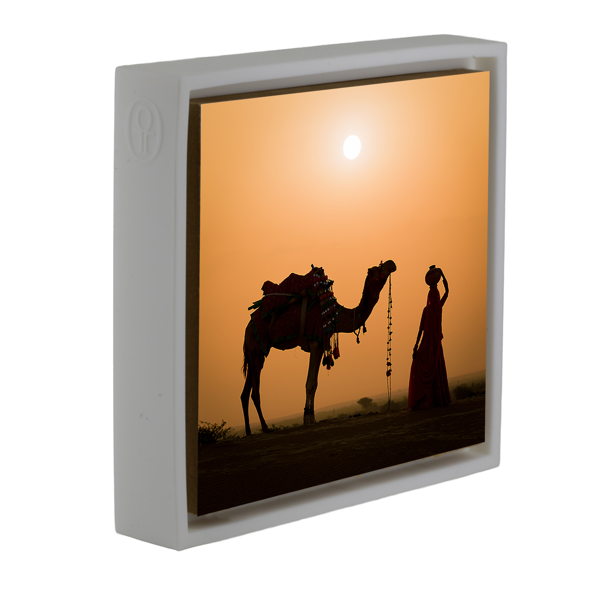 Snake Charmer - Witte Wrapp