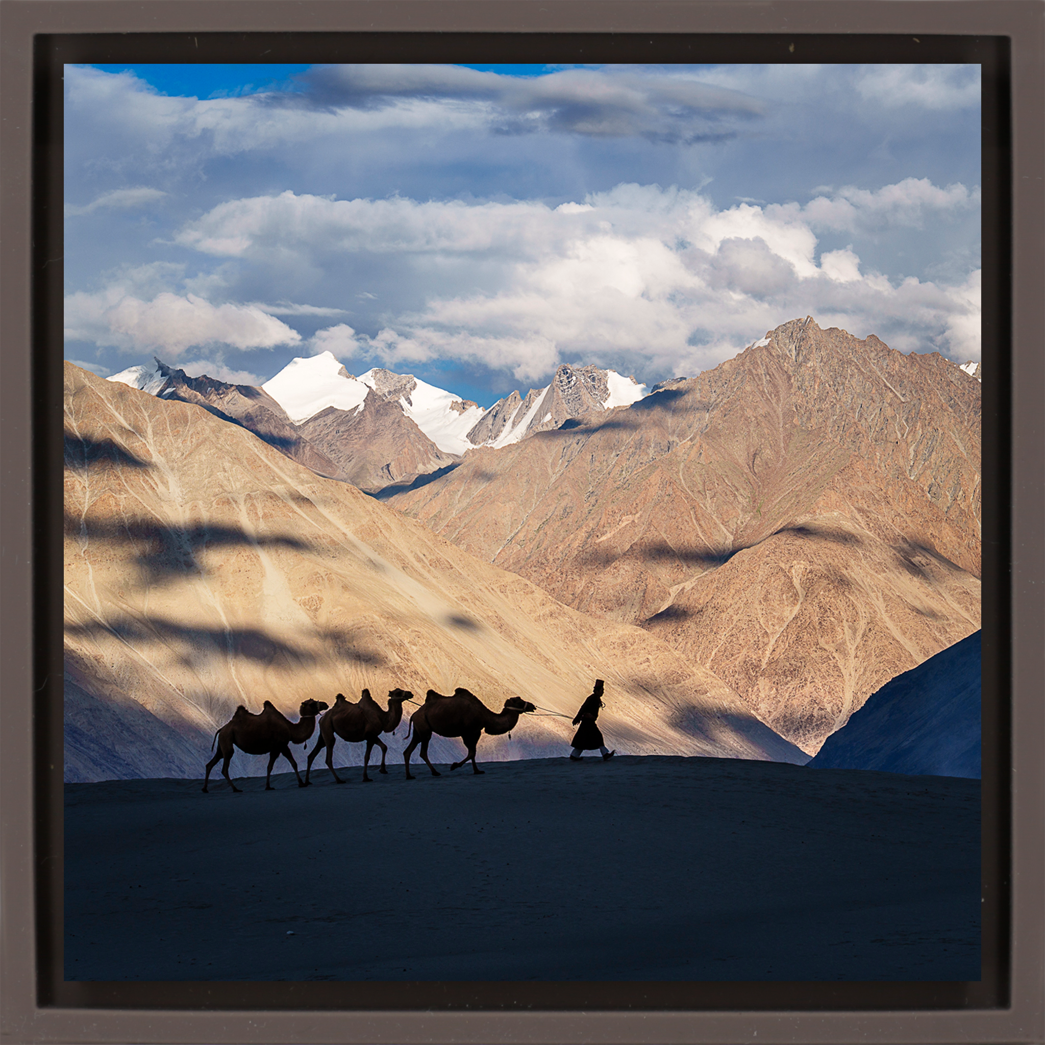 Numbra Valley Leh Ladakh - Bruine Wrapp