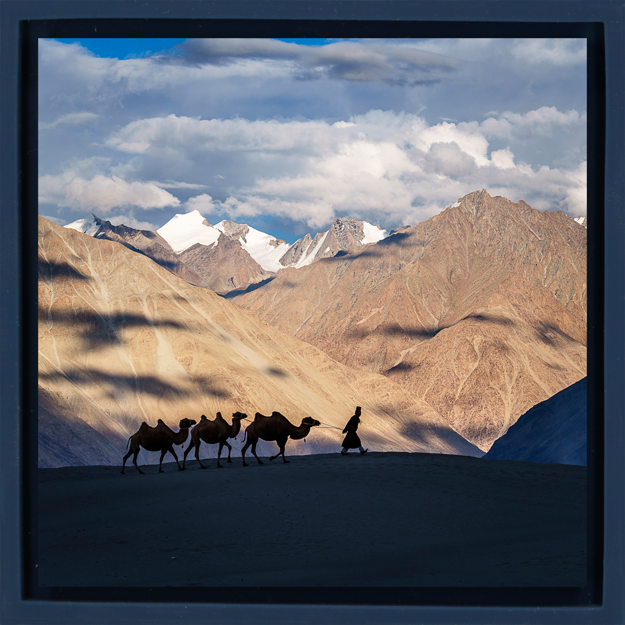 Numbra Valley Leh Ladakh- Dark Blue Wrapp