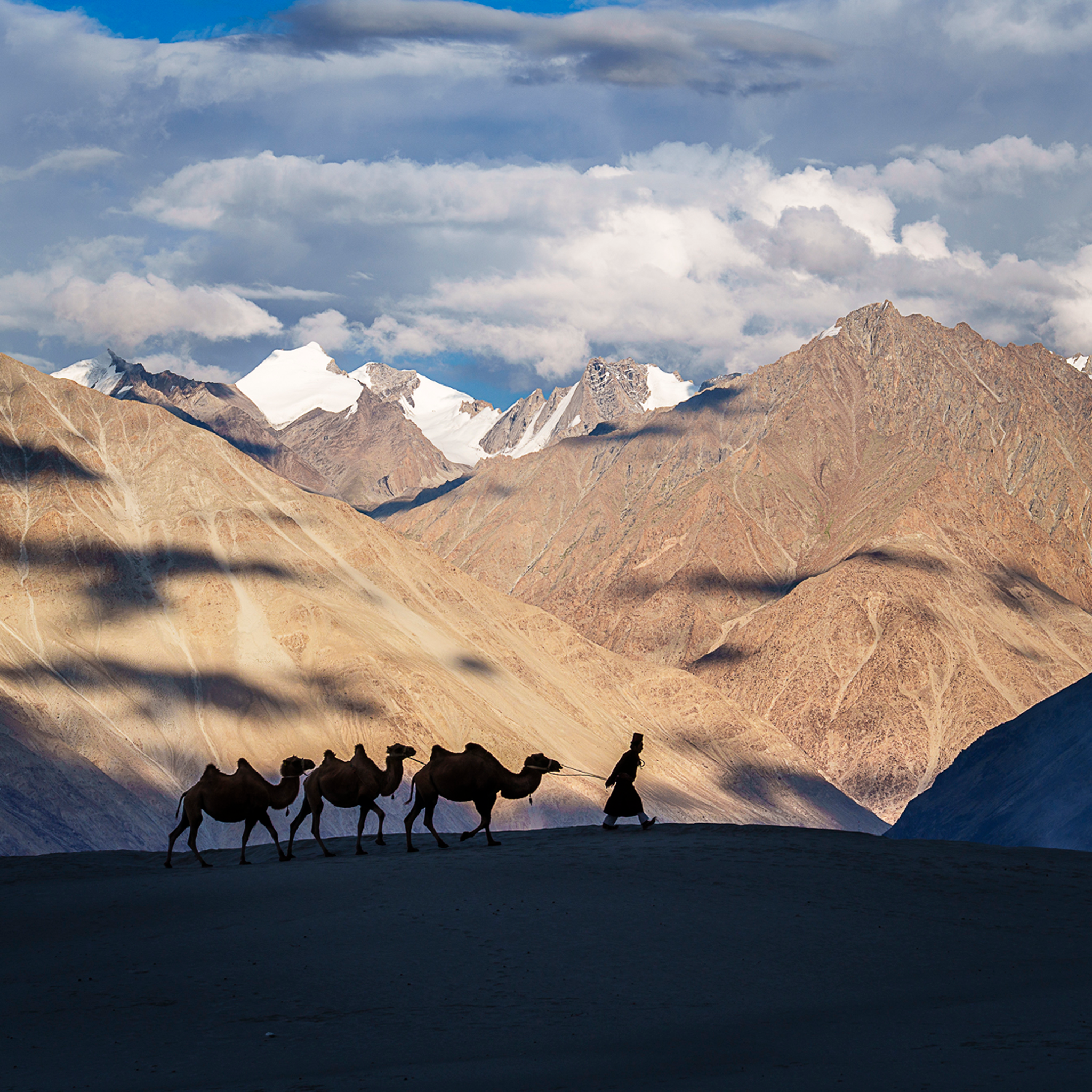 Numbra Valley Leh Ladakh- Collectie: India