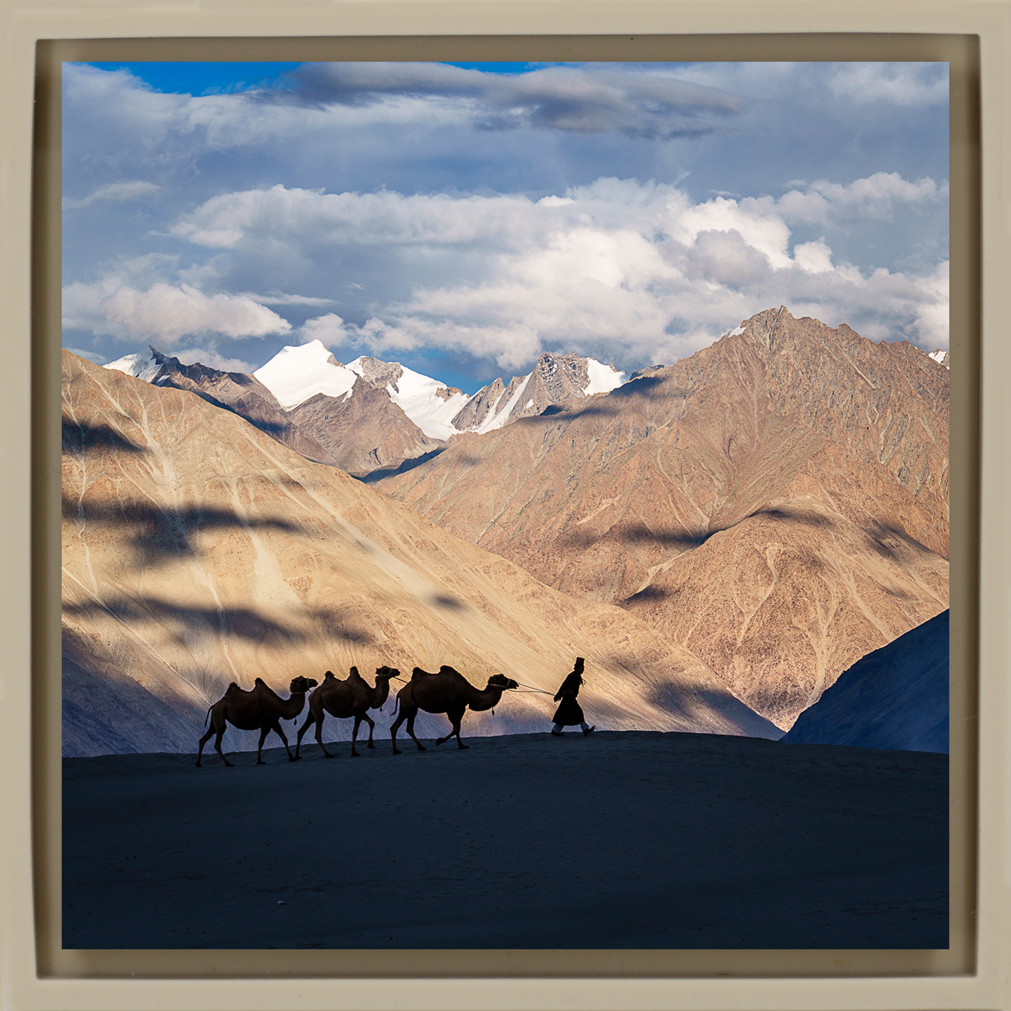 Numbra Valley Leh Ladakh - Zandkleurige Wrapp