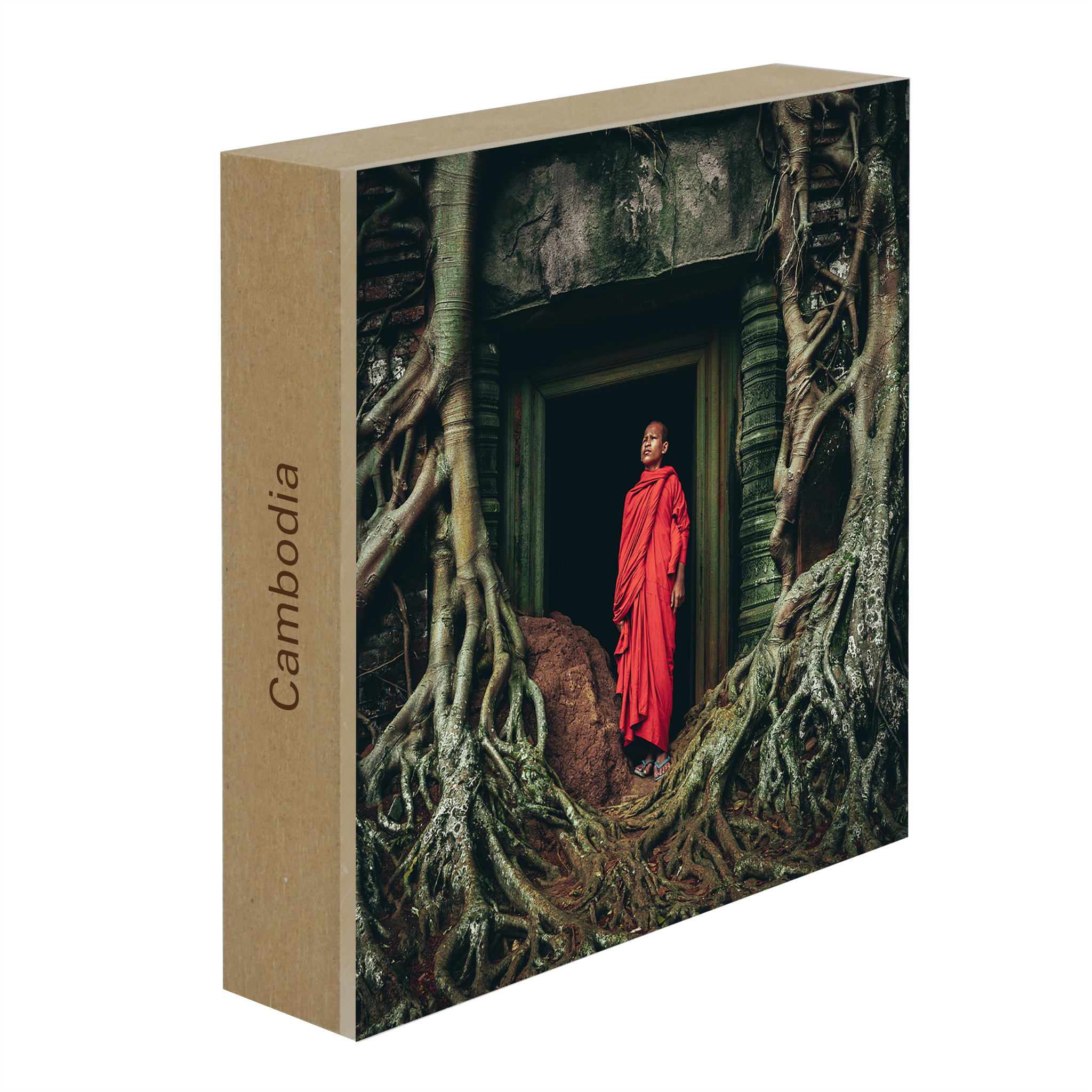 Jonge Monnik In Contemplatie - Collectie: Cambodja