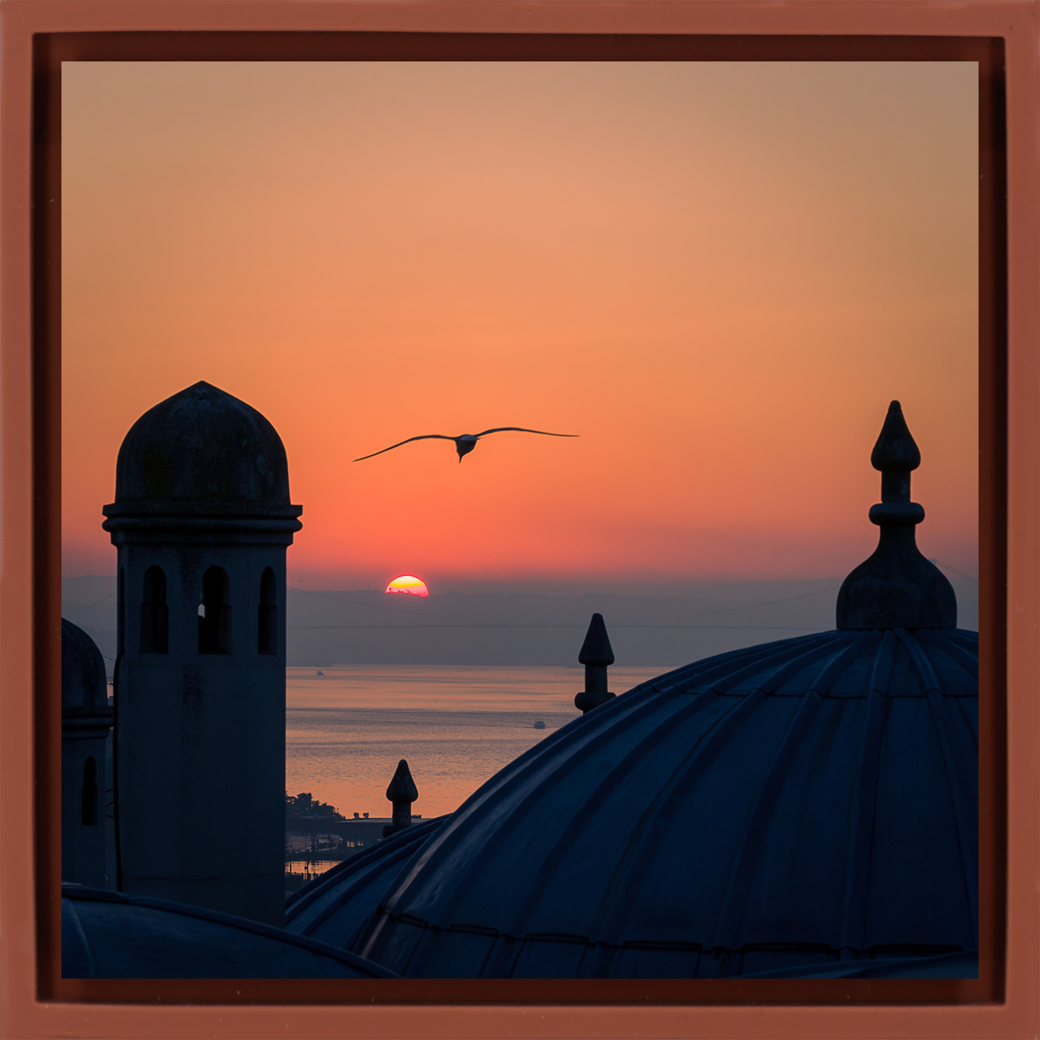 Istanbul - Terra Wrapp