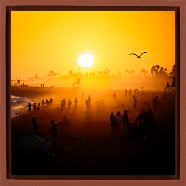 Balboa Pier Dreams - Terra Wrapp