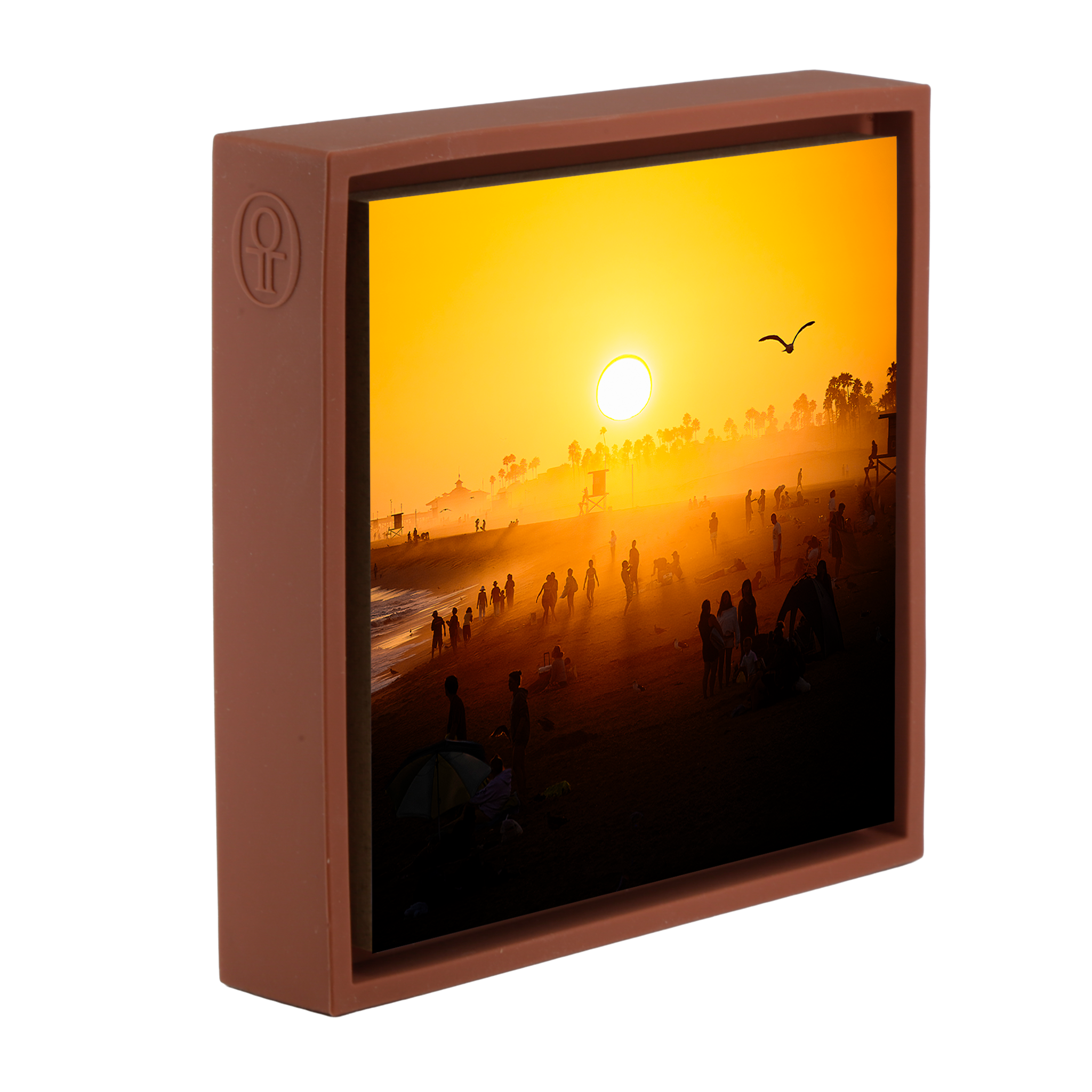 Balboa Pier Dreams- Terra Wrapp