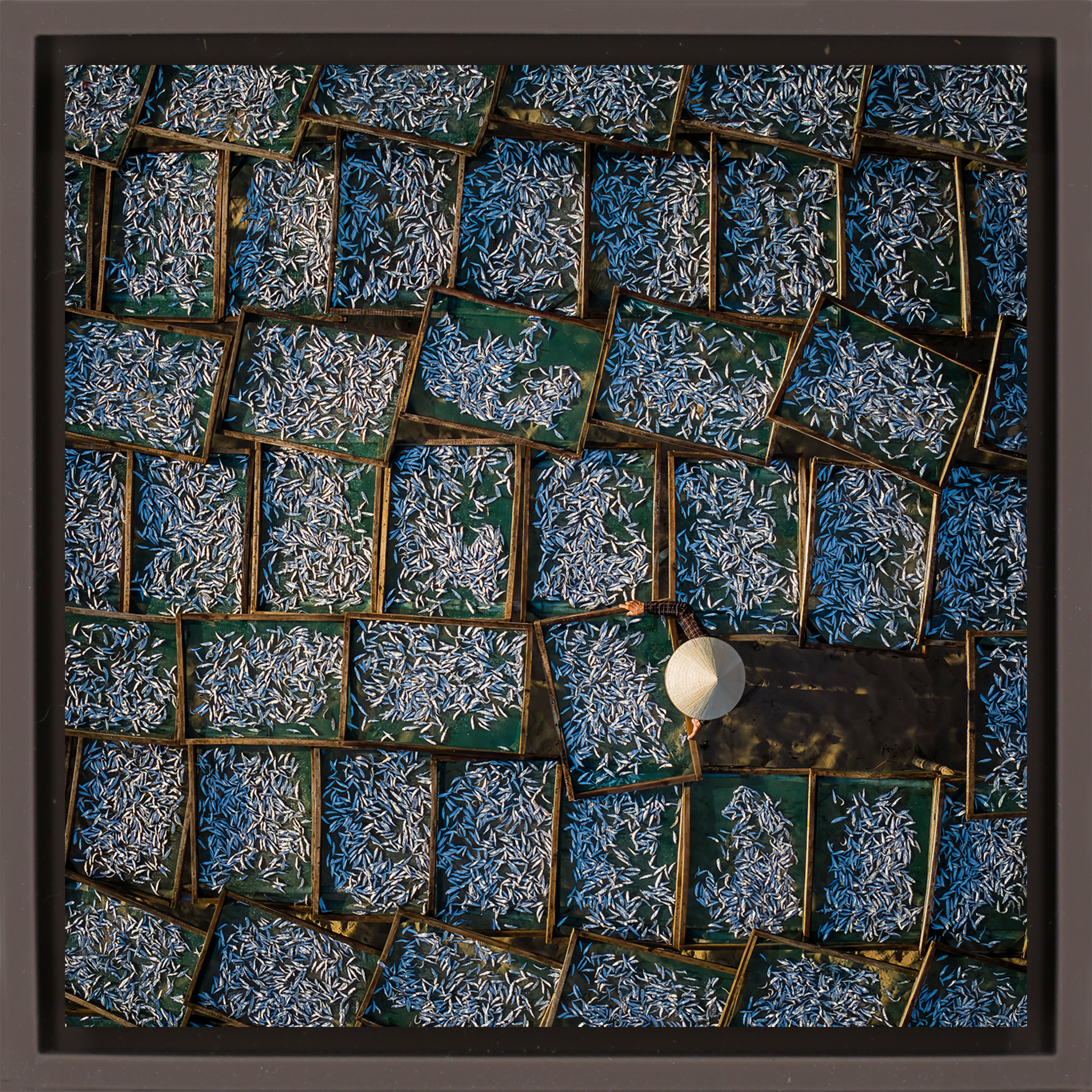 Silver Harvest- Brown Wrapp