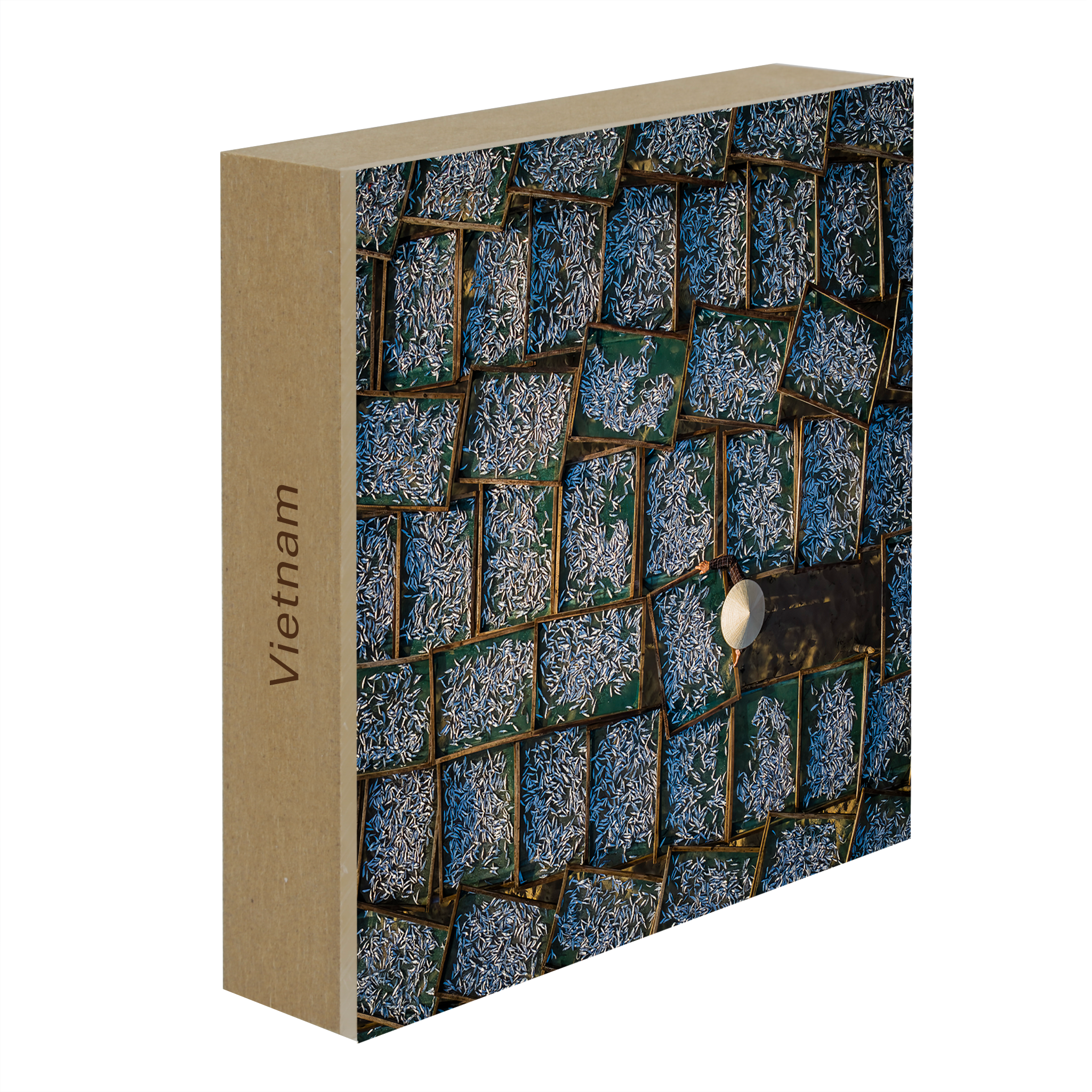 Silver Harvest- Collectie: Vietnam