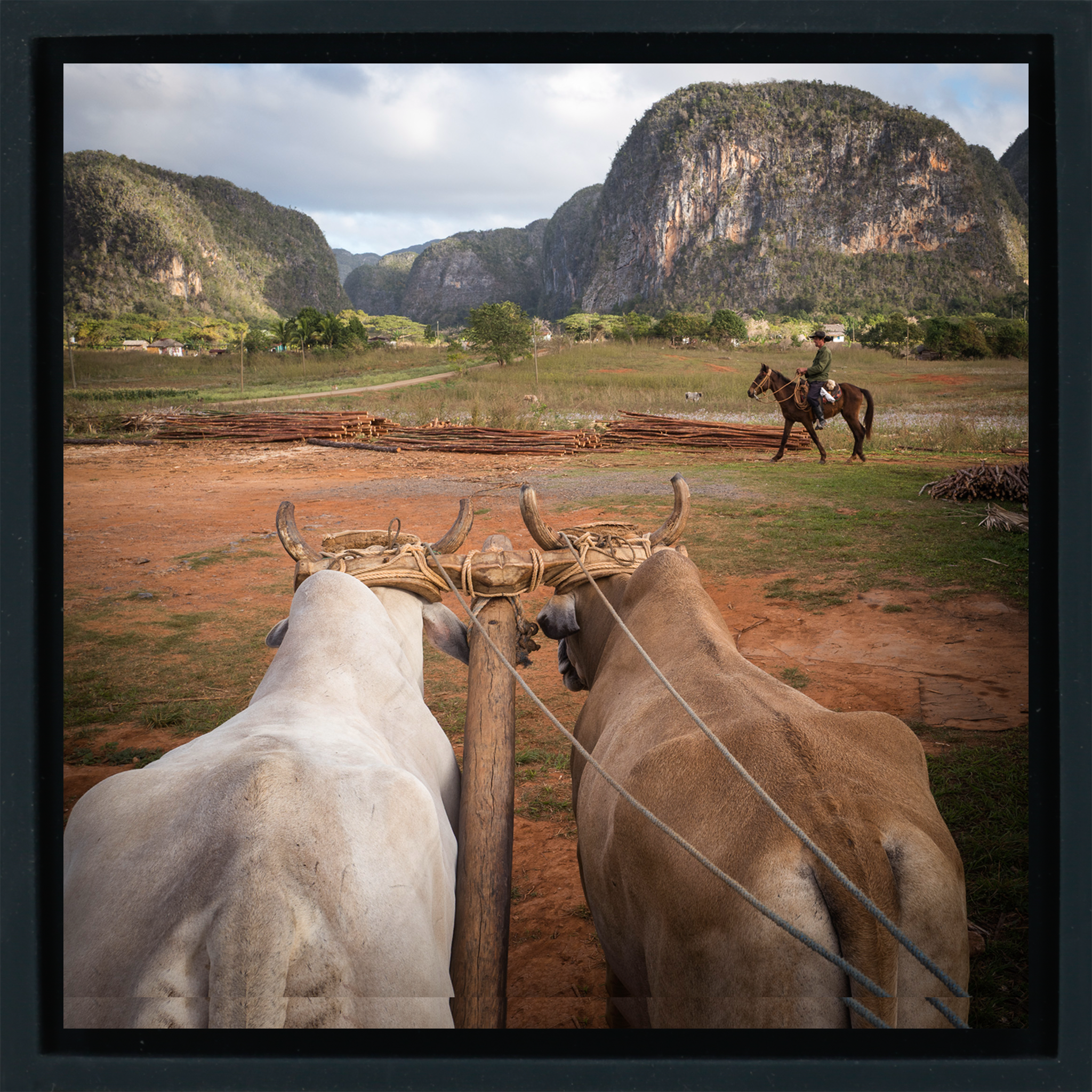 Rural Life- Black Wrapp