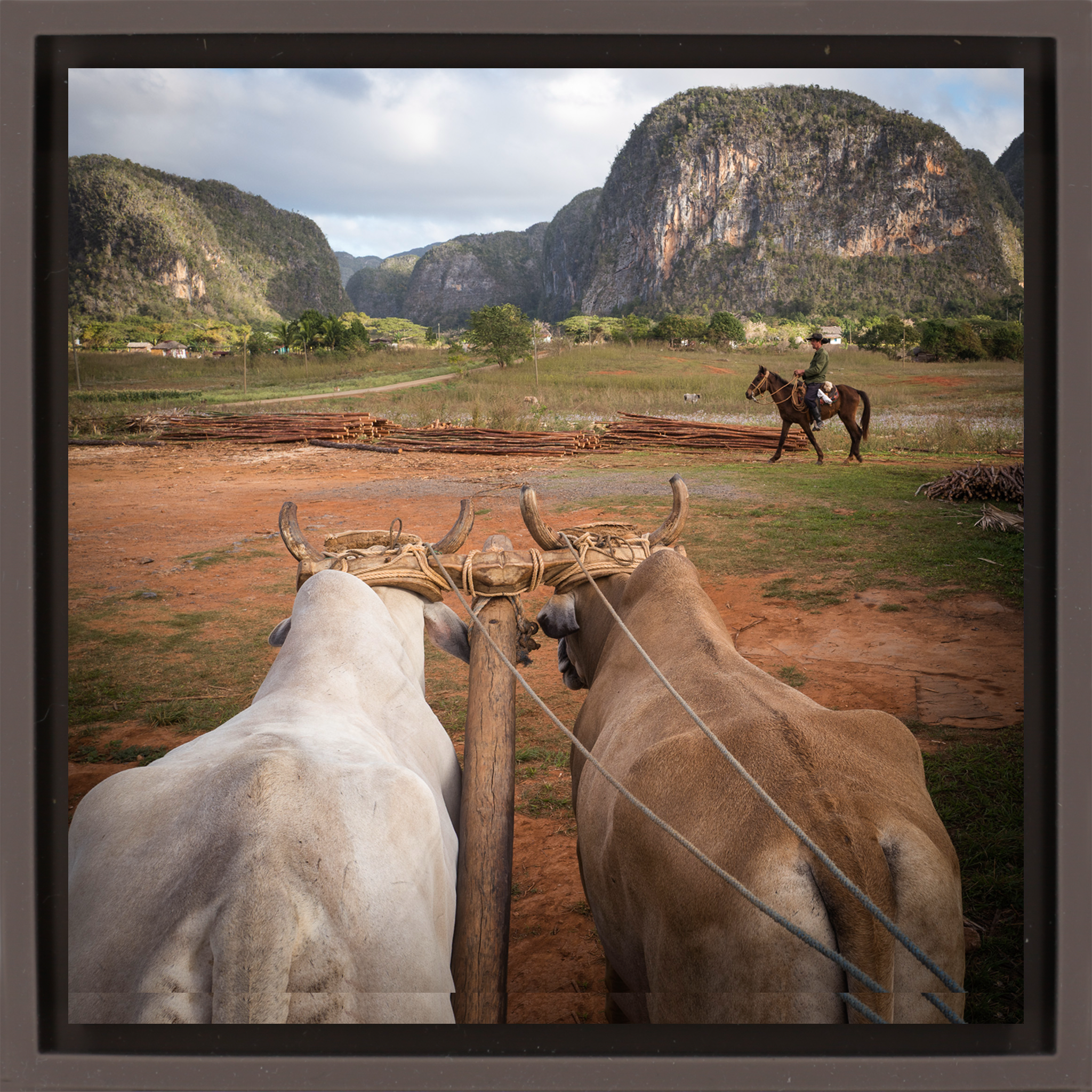 Rural Life- Brown Wrapp