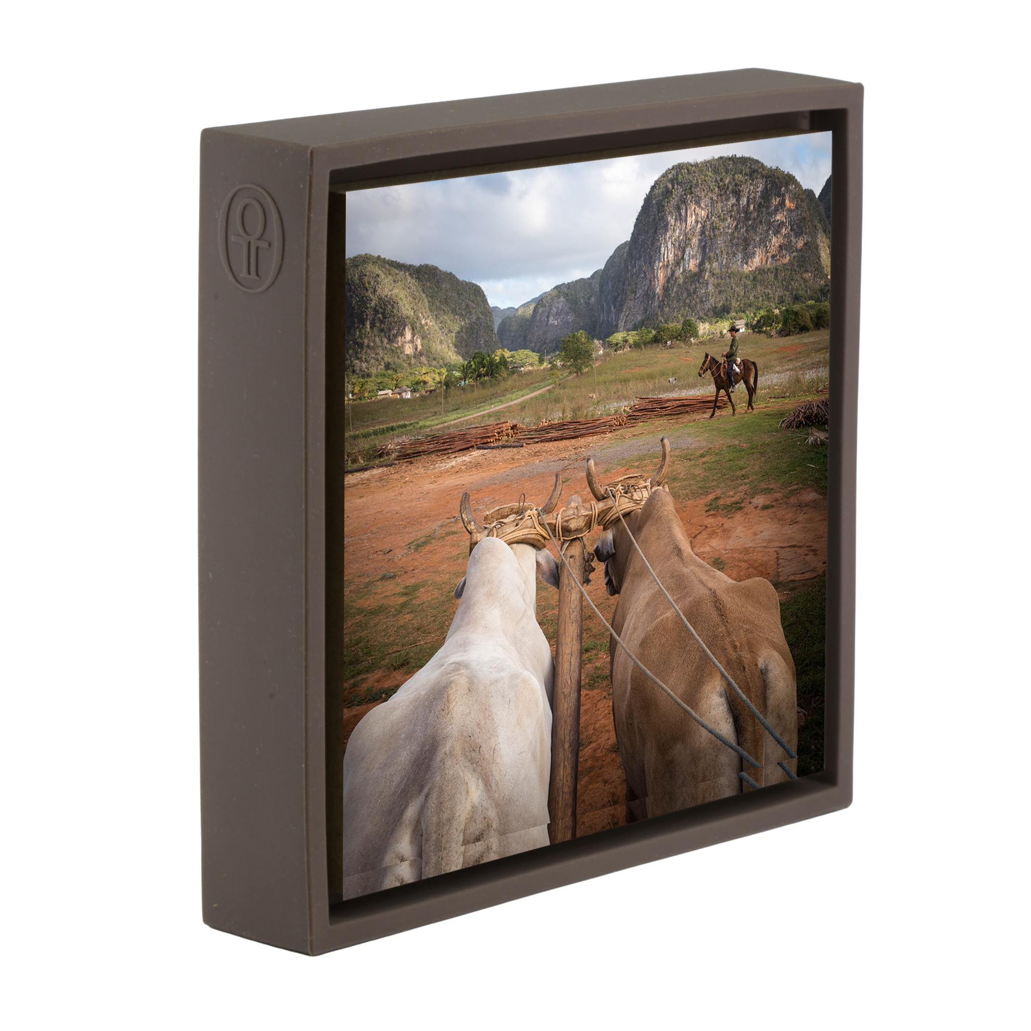 Rural Life- Brown Wrapp