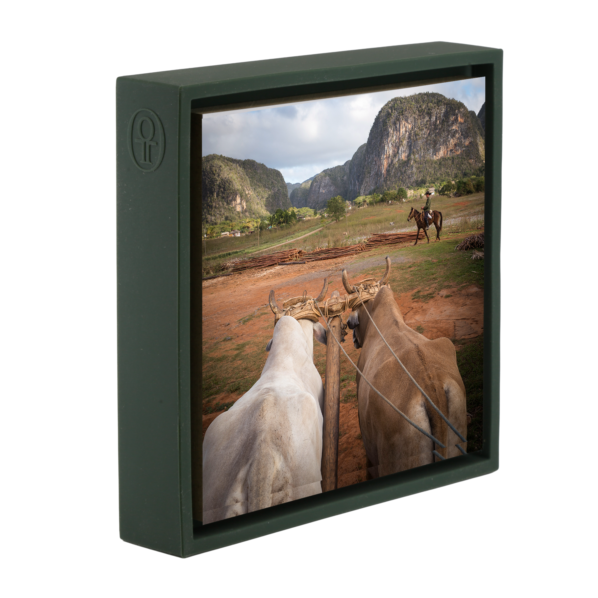 Rural Life- Dark Green Wrapp